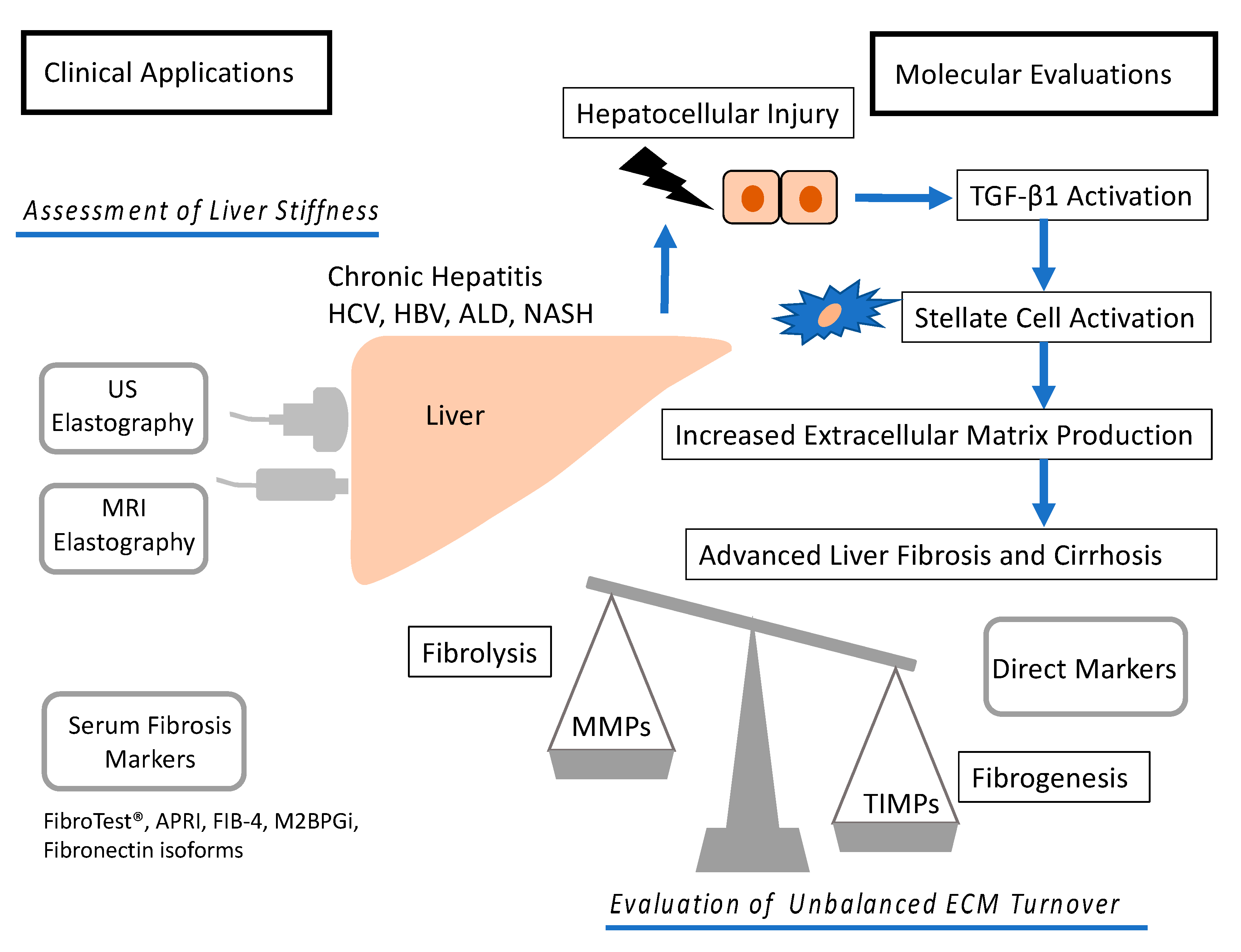 Ijms 21 04906 g001 Ijms 21 04906 g001