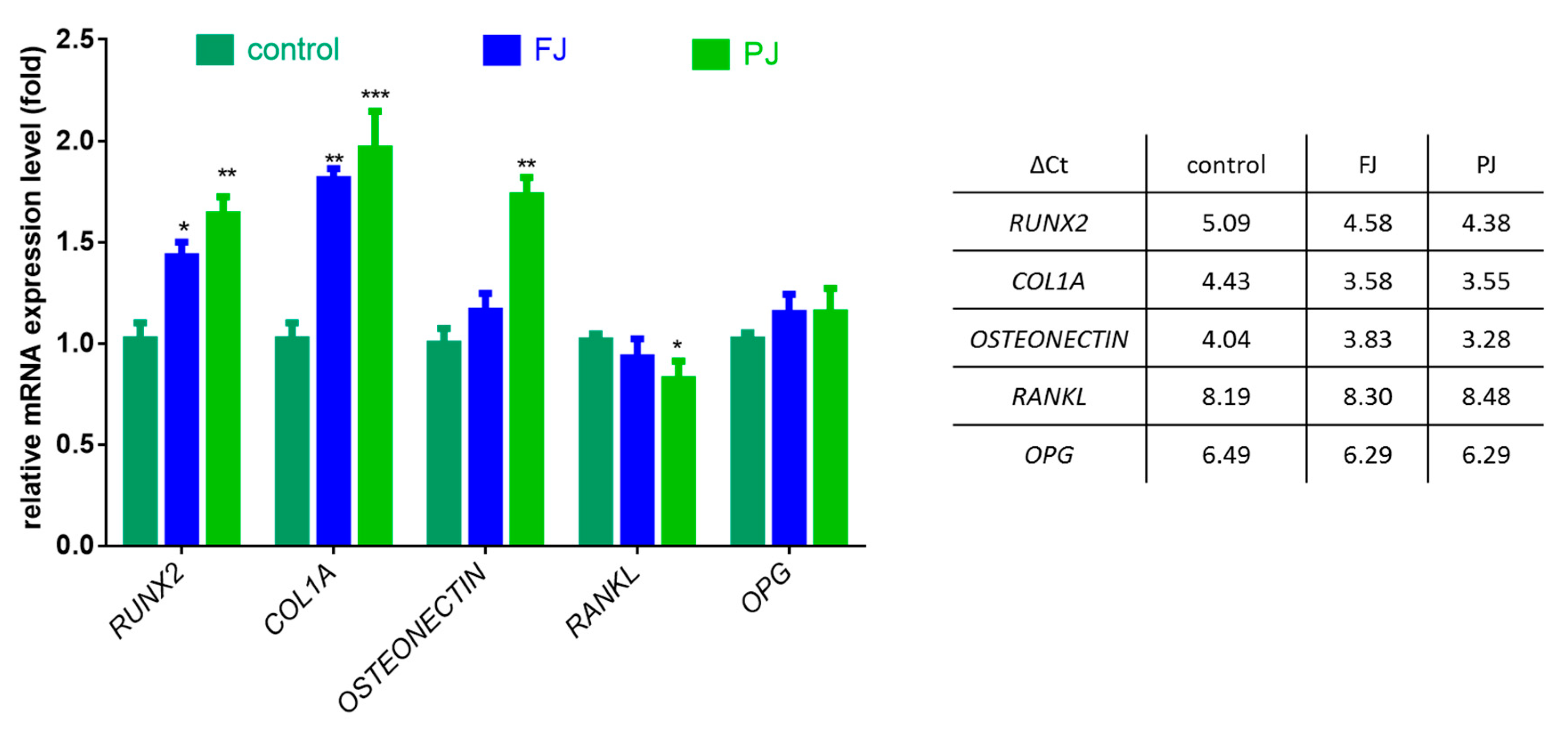 Ijms 21 04909 g006 Ijms 21 04909 g006