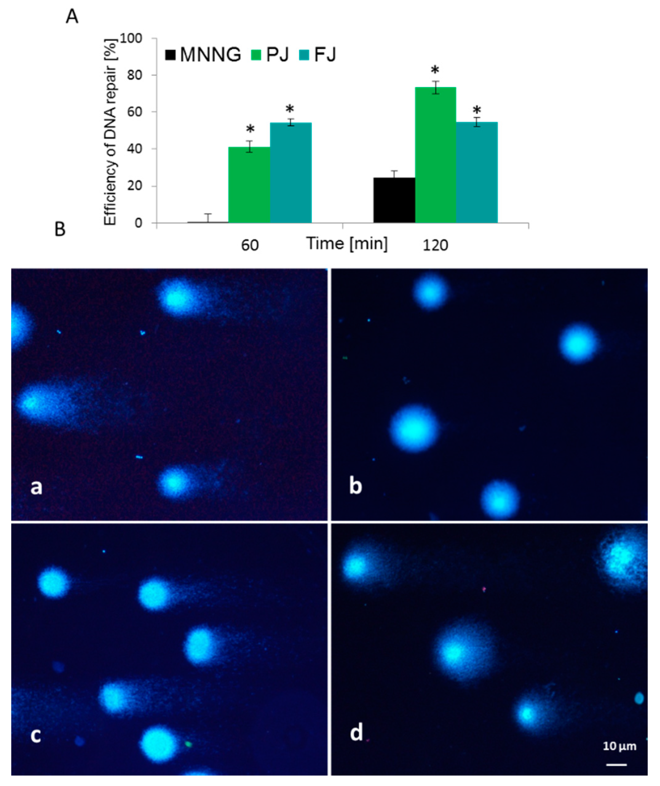 Ijms 21 04909 g008 Ijms 21 04909 g008