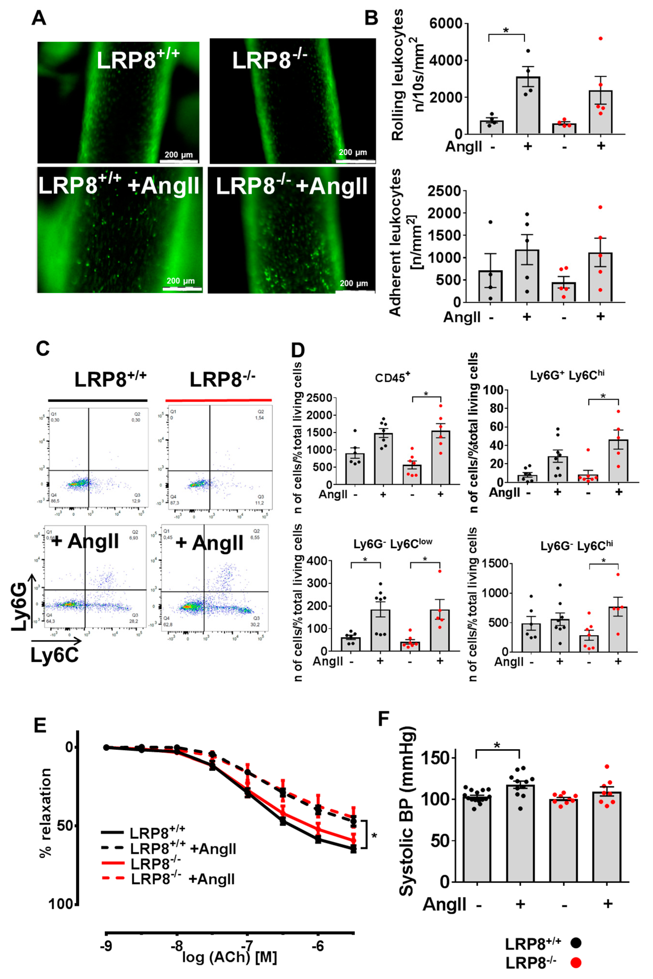 Ijms 21 04916 g001 Ijms 21 04916 g001