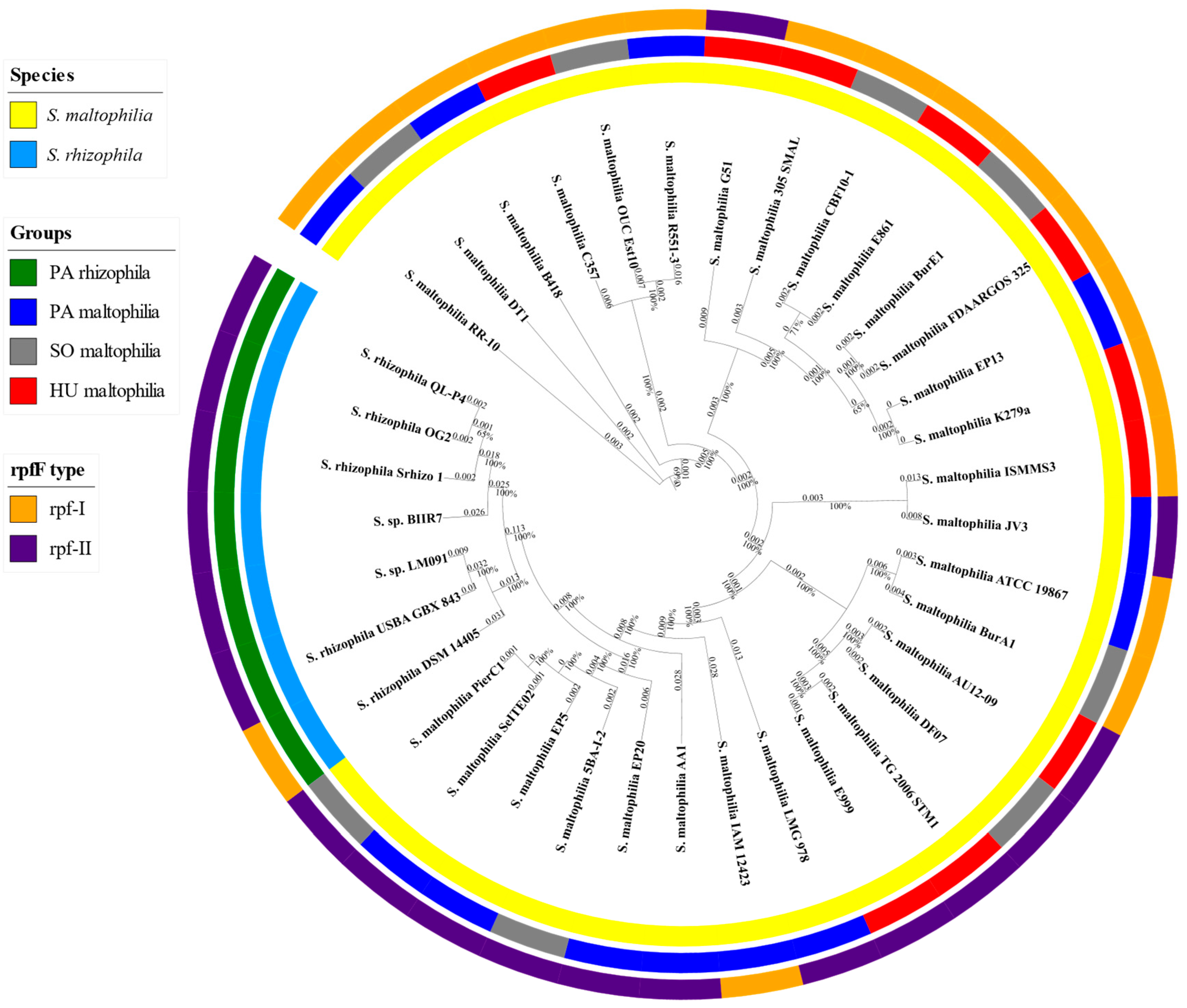 Ijms 21 04922 g001 Ijms 21 04922 g001