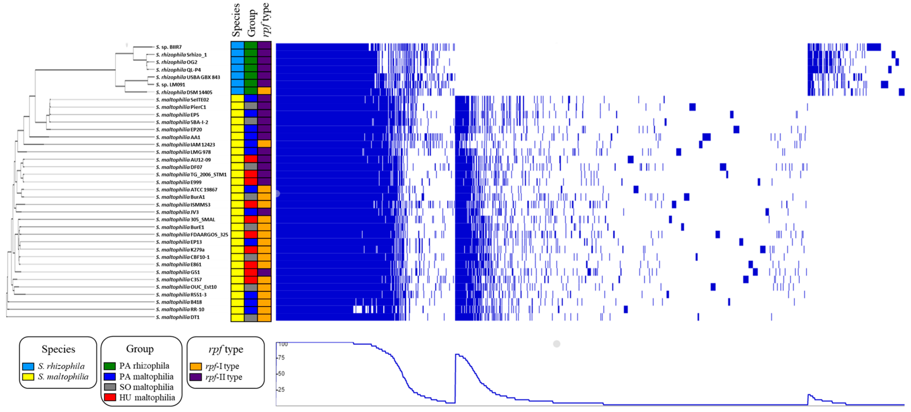Ijms 21 04922 g004 Ijms 21 04922 g004