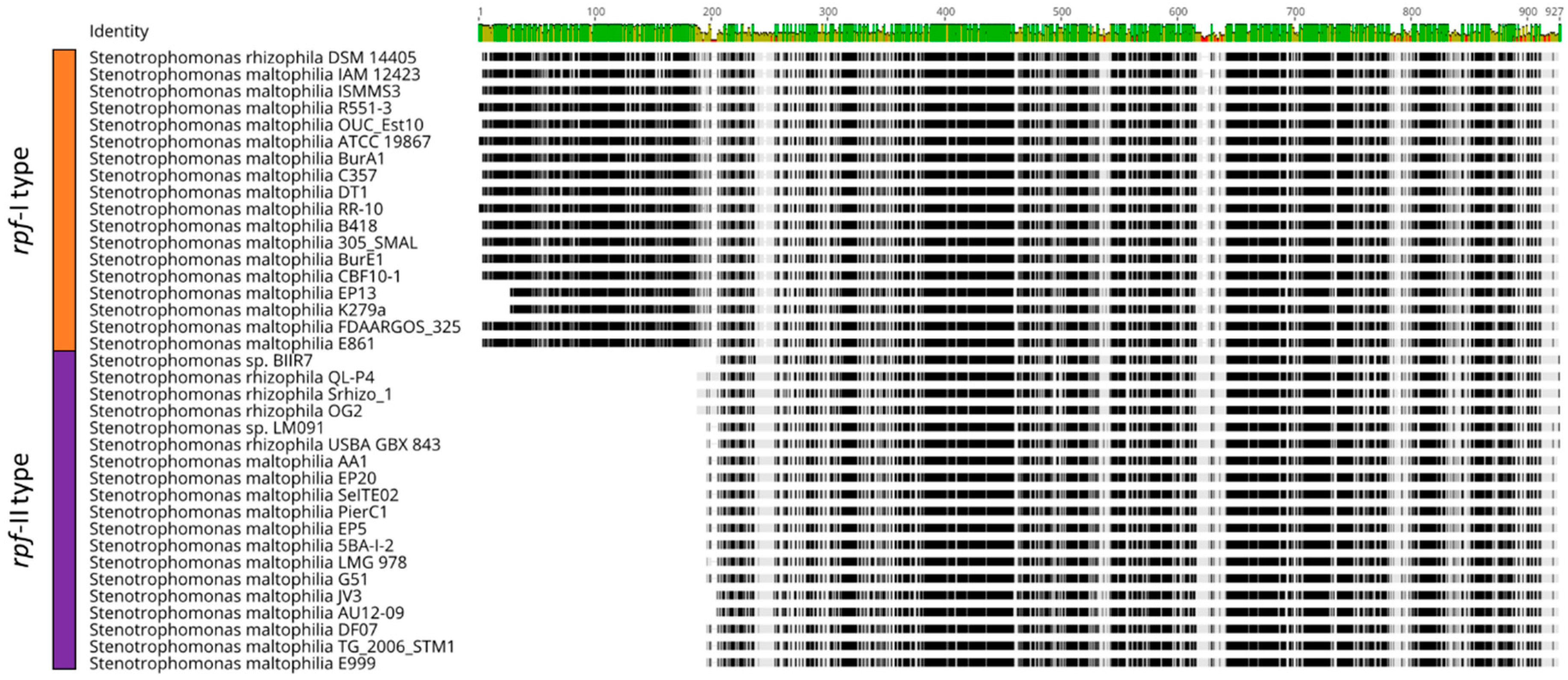 Ijms 21 04922 g0a1 Ijms 21 04922 g0a1