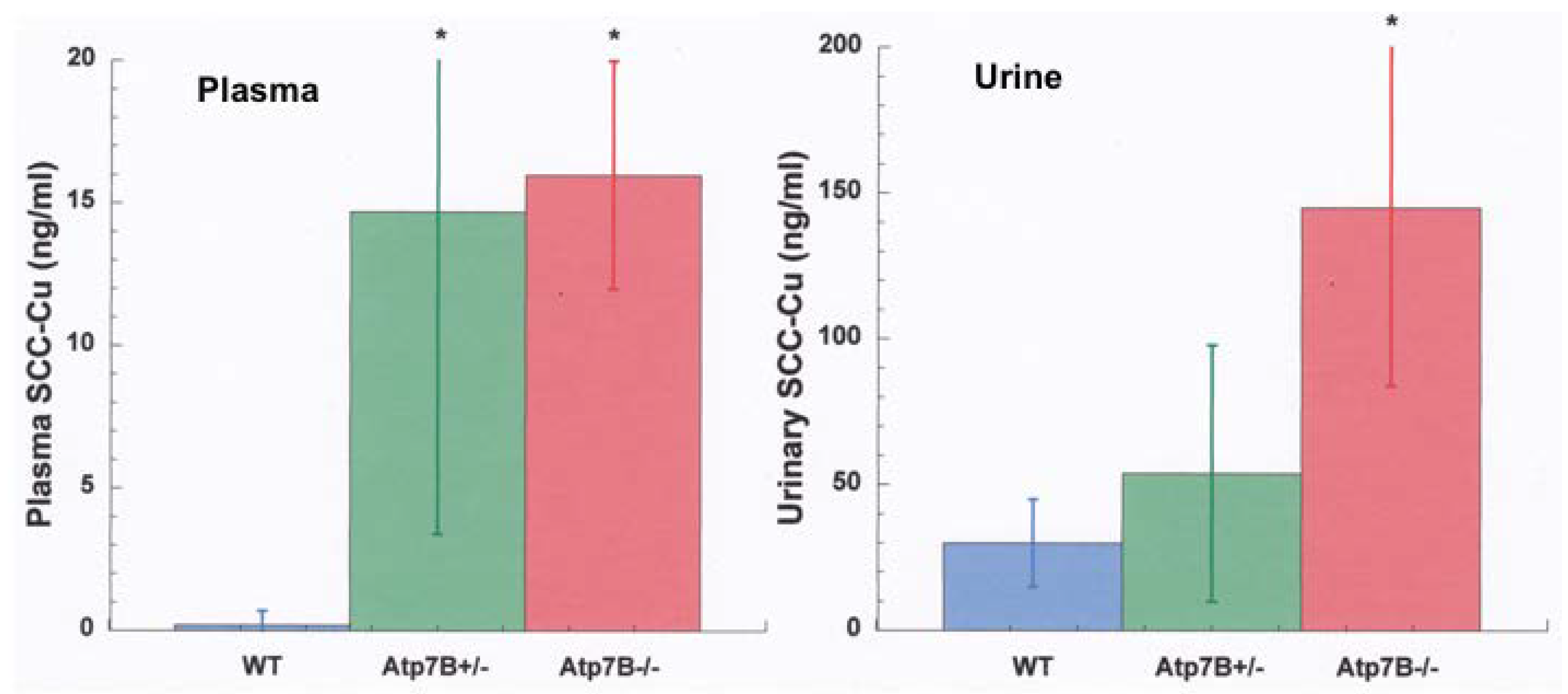 Ijms 21 04932 g008 Ijms 21 04932 g008