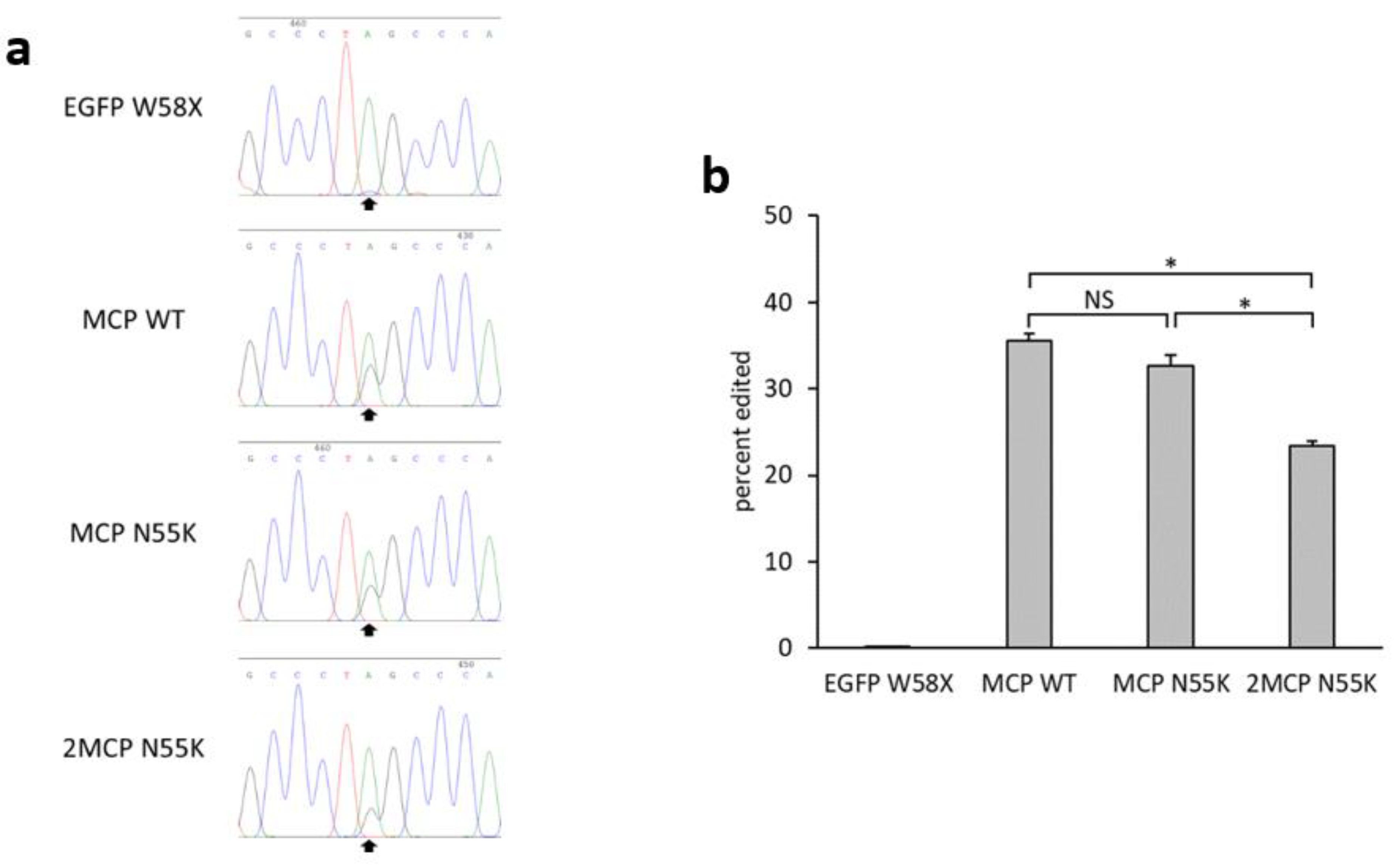Ijms 21 04943 g002 Ijms 21 04943 g002