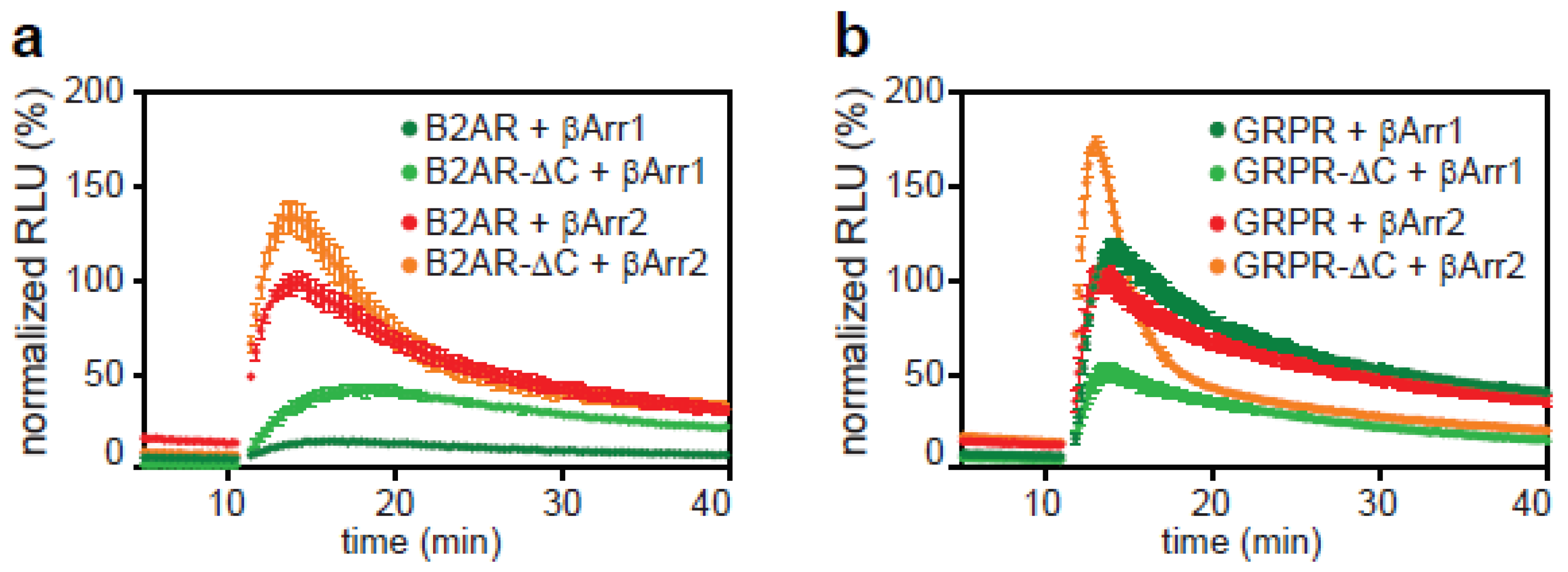 Ijms 21 04949 g004 Ijms 21 04949 g004