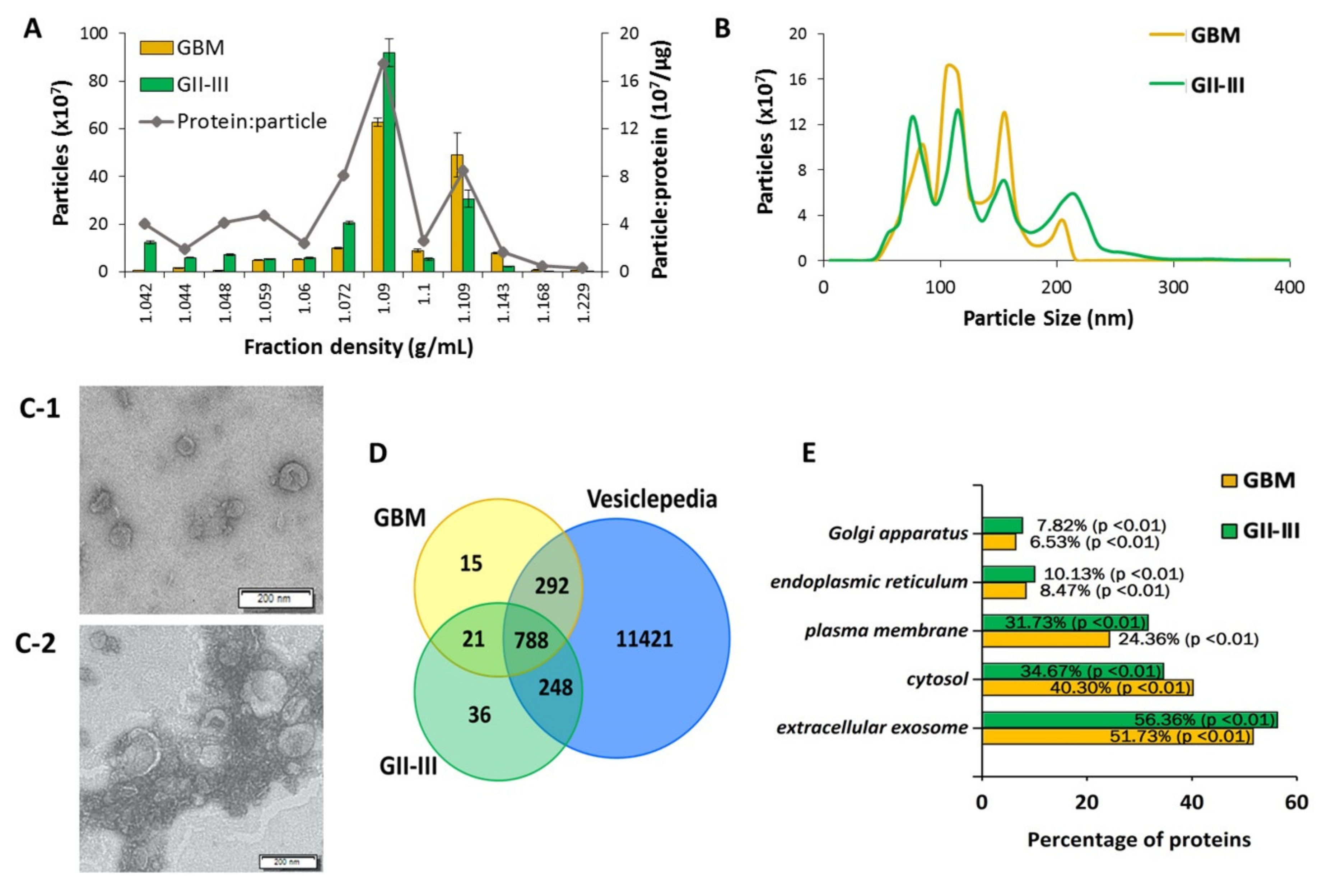 Ijms 21 04954 g001 Ijms 21 04954 g001