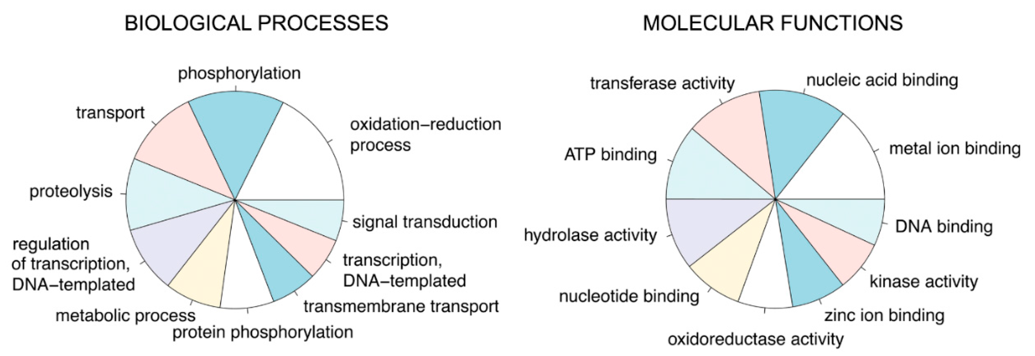 Ijms 21 04955 g006 Ijms 21 04955 g006