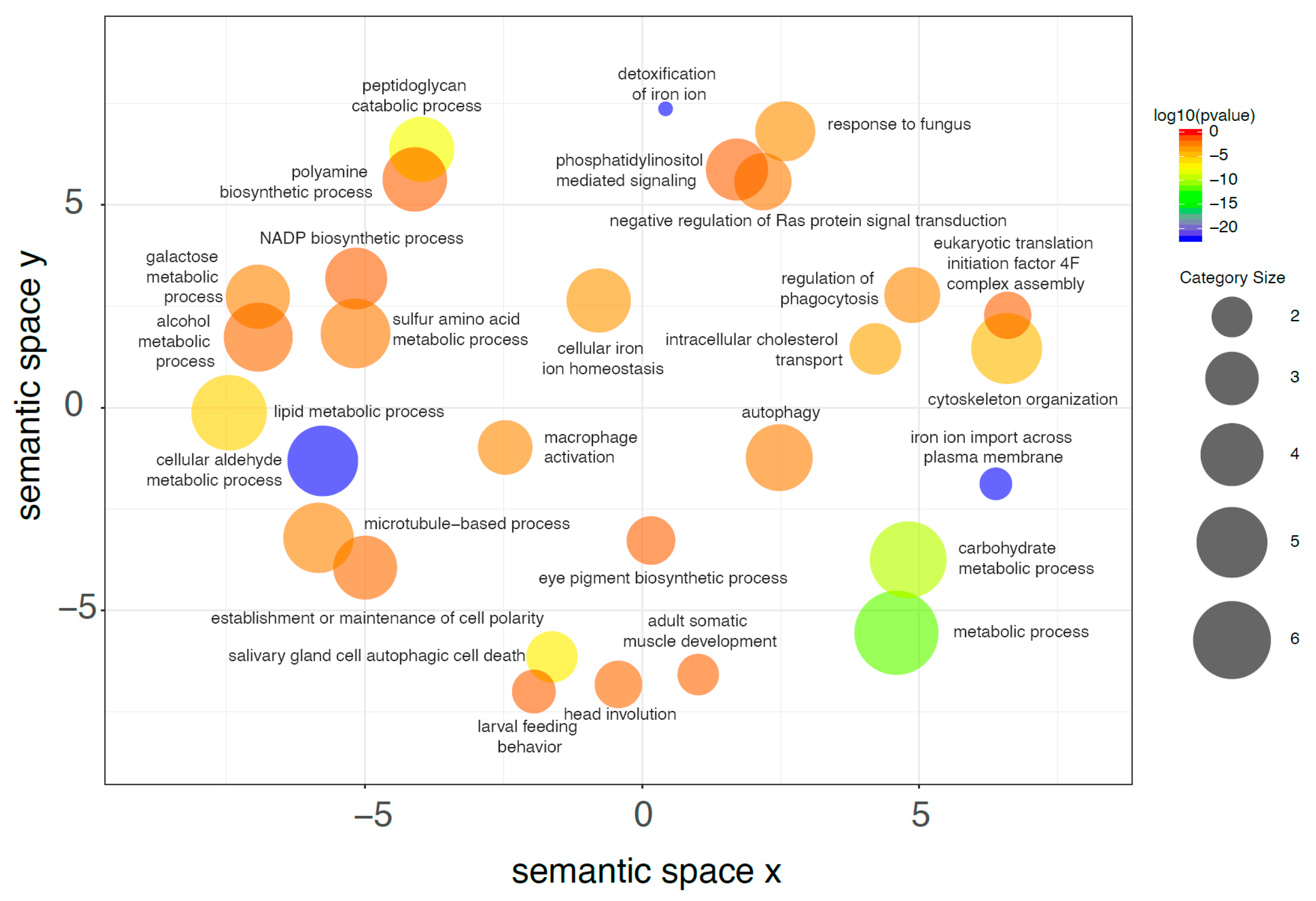 Ijms 21 04955 g008 Ijms 21 04955 g008