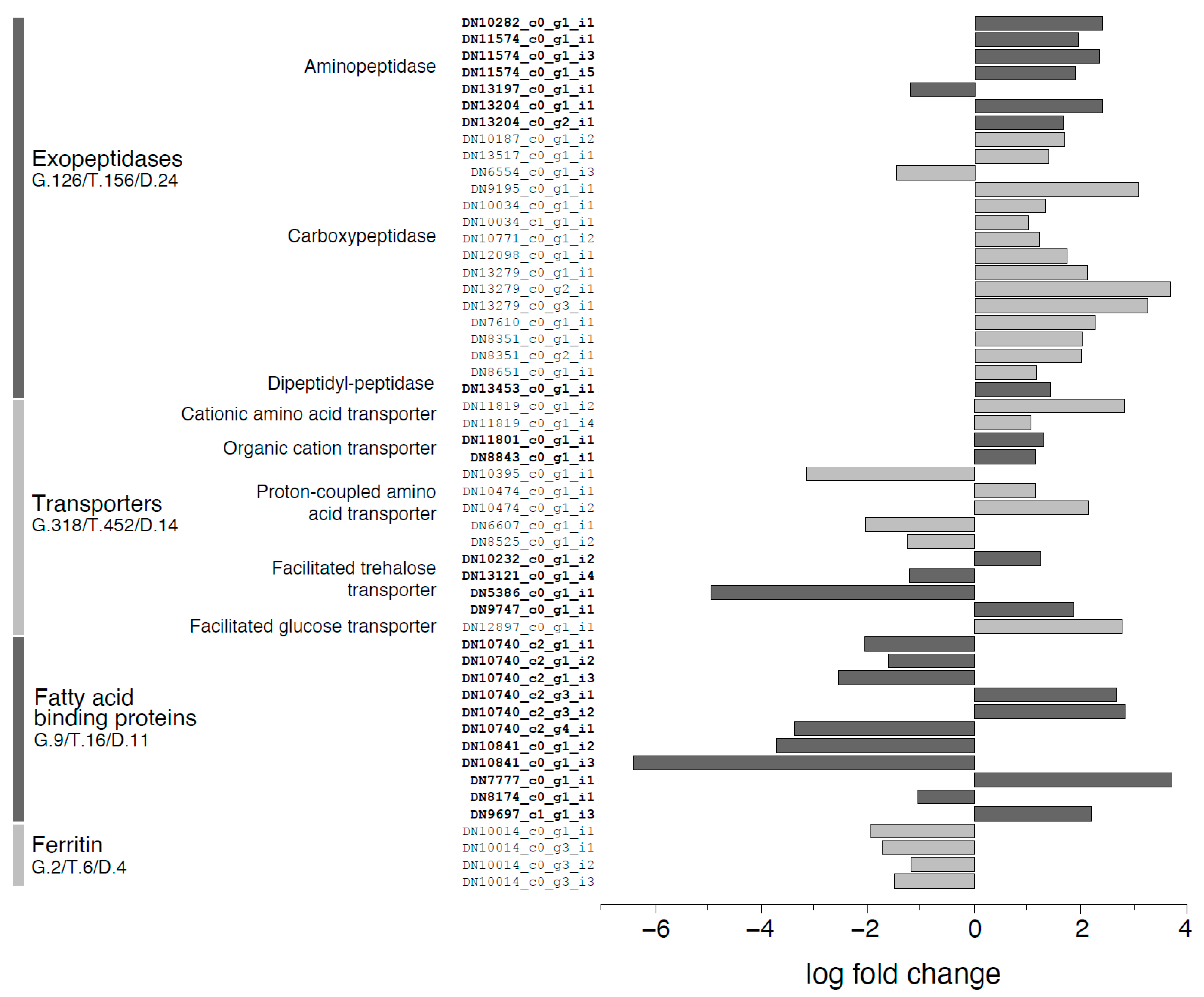 Ijms 21 04955 g010 Ijms 21 04955 g010