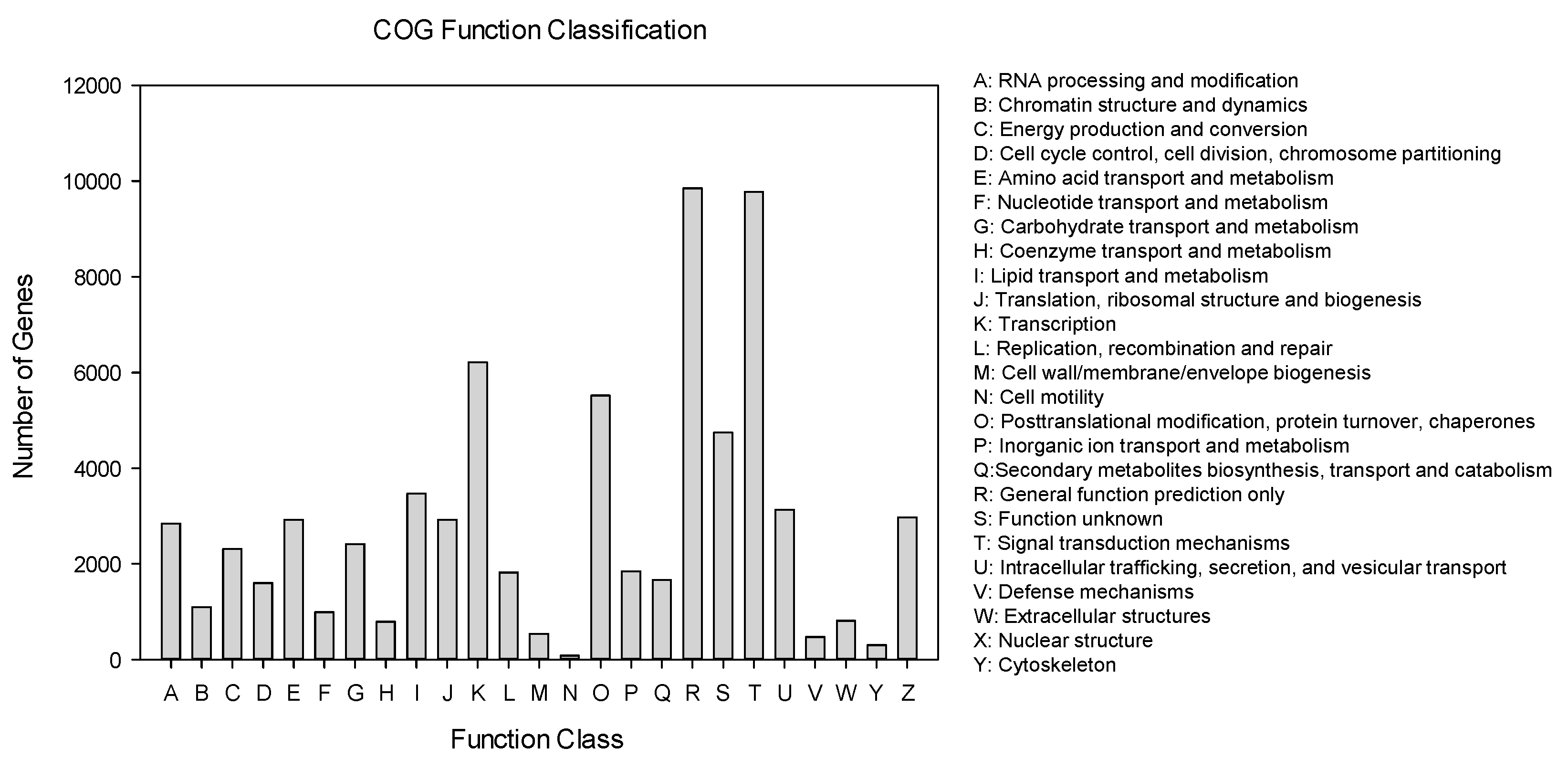 Ijms 21 04974 g005 Ijms 21 04974 g005