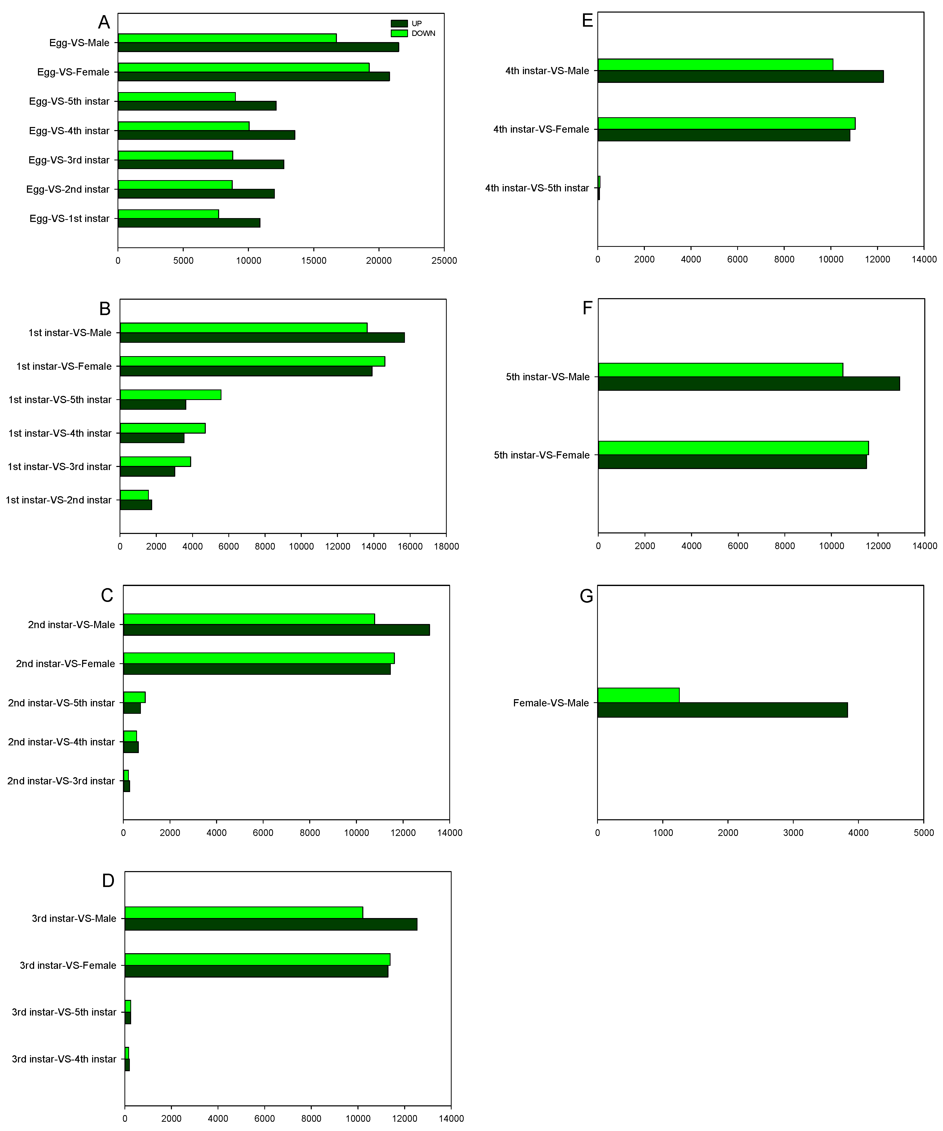 Ijms 21 04974 g007 Ijms 21 04974 g007