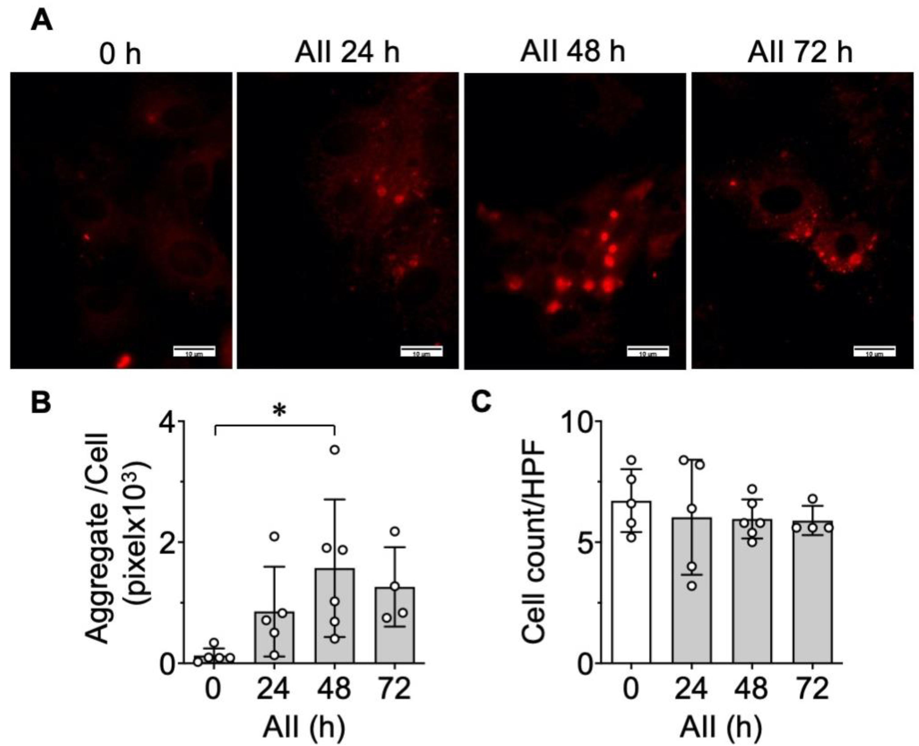 Ijms 21 04980 g001 Ijms 21 04980 g001