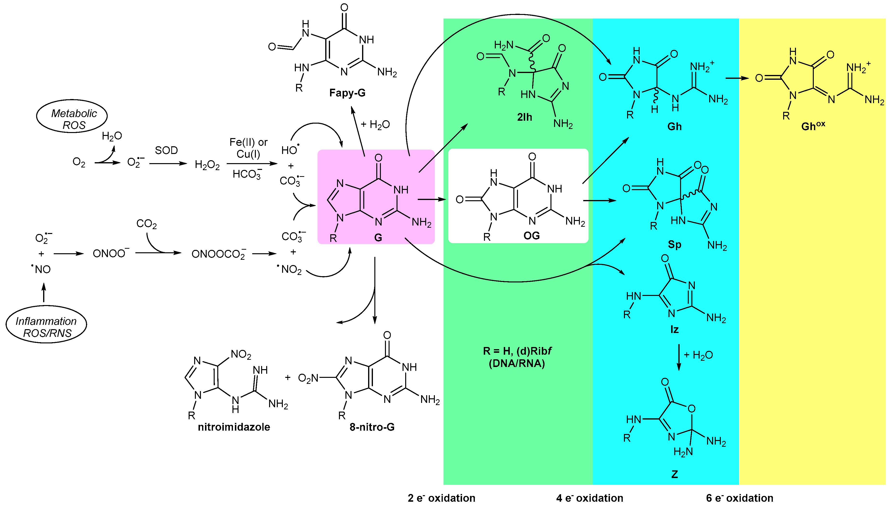 Ijms 21 04981 sch001