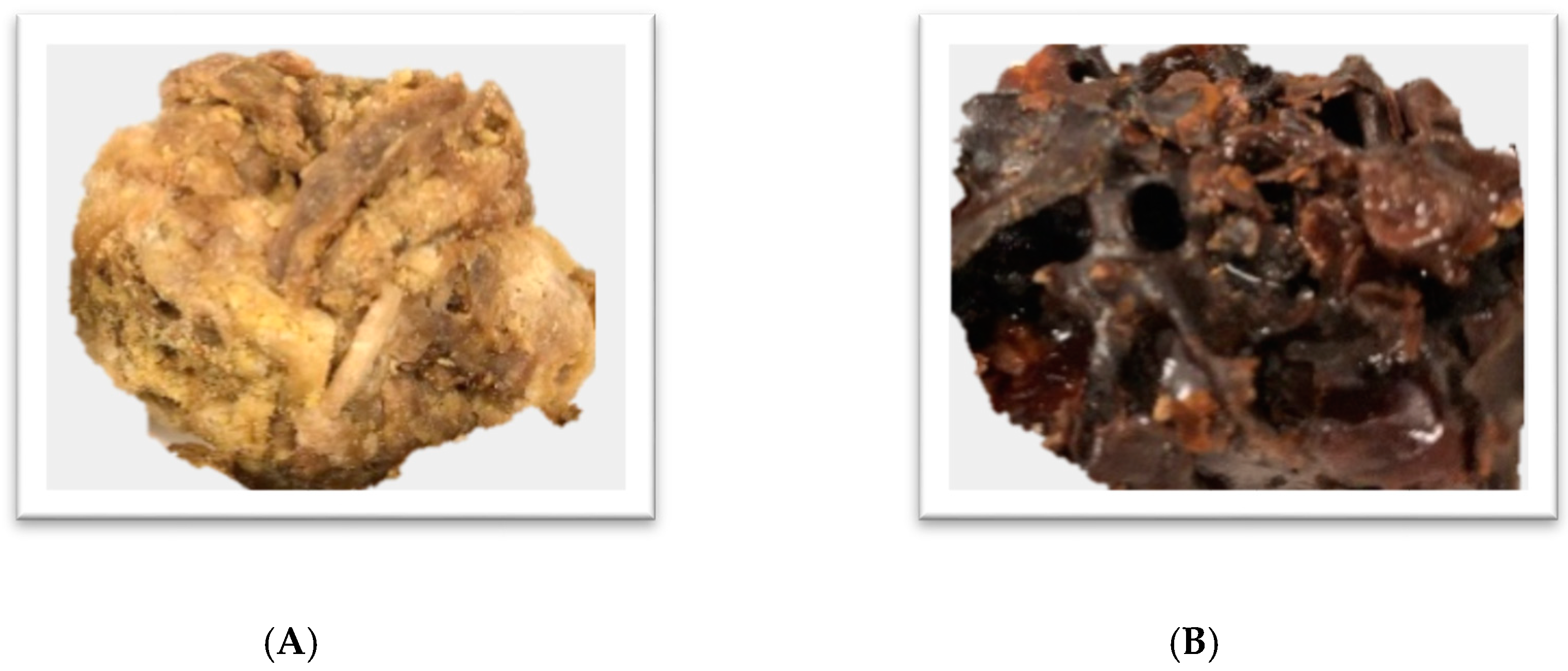 Ijms 21 04988 g002 Ijms 21 04988 g002