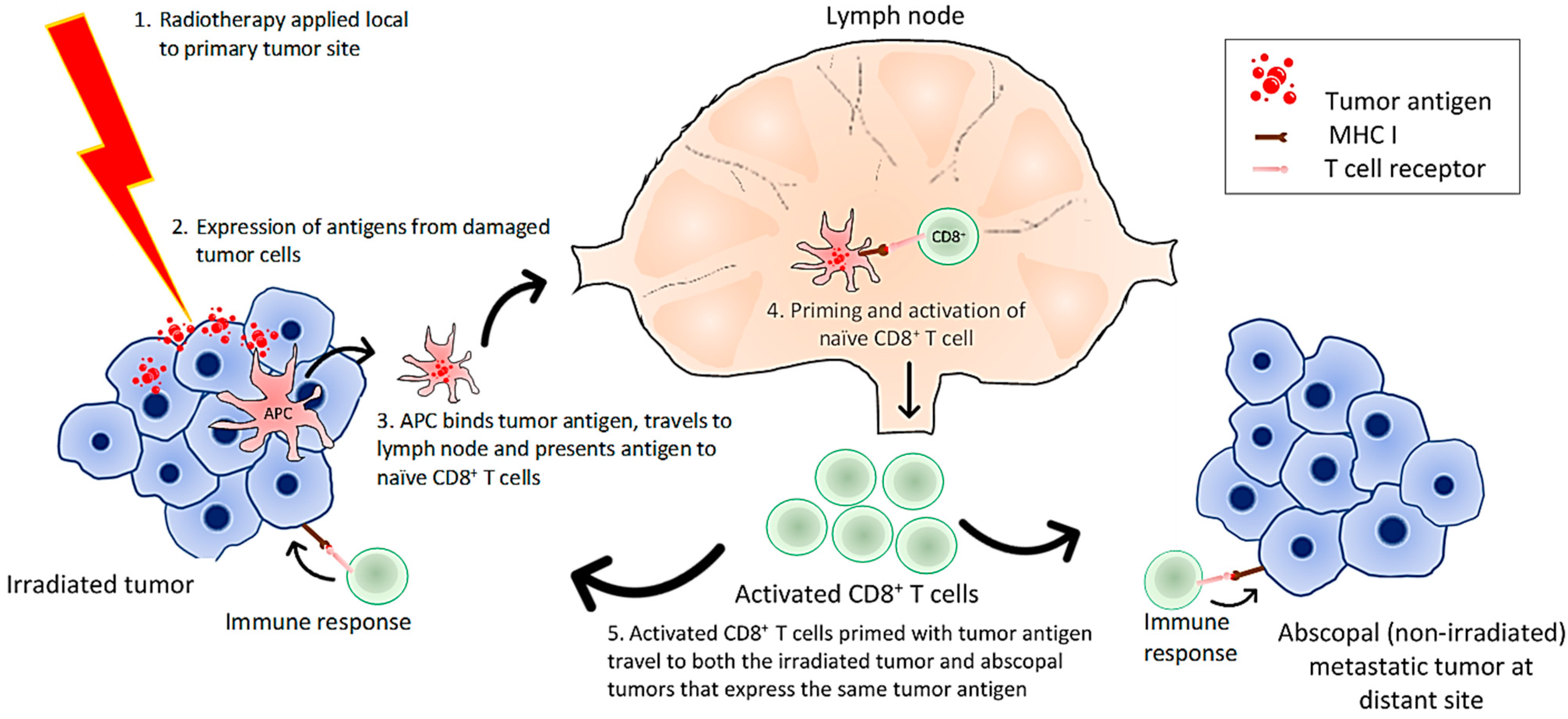 Ijms 21 05009 g004 Ijms 21 05009 g004
