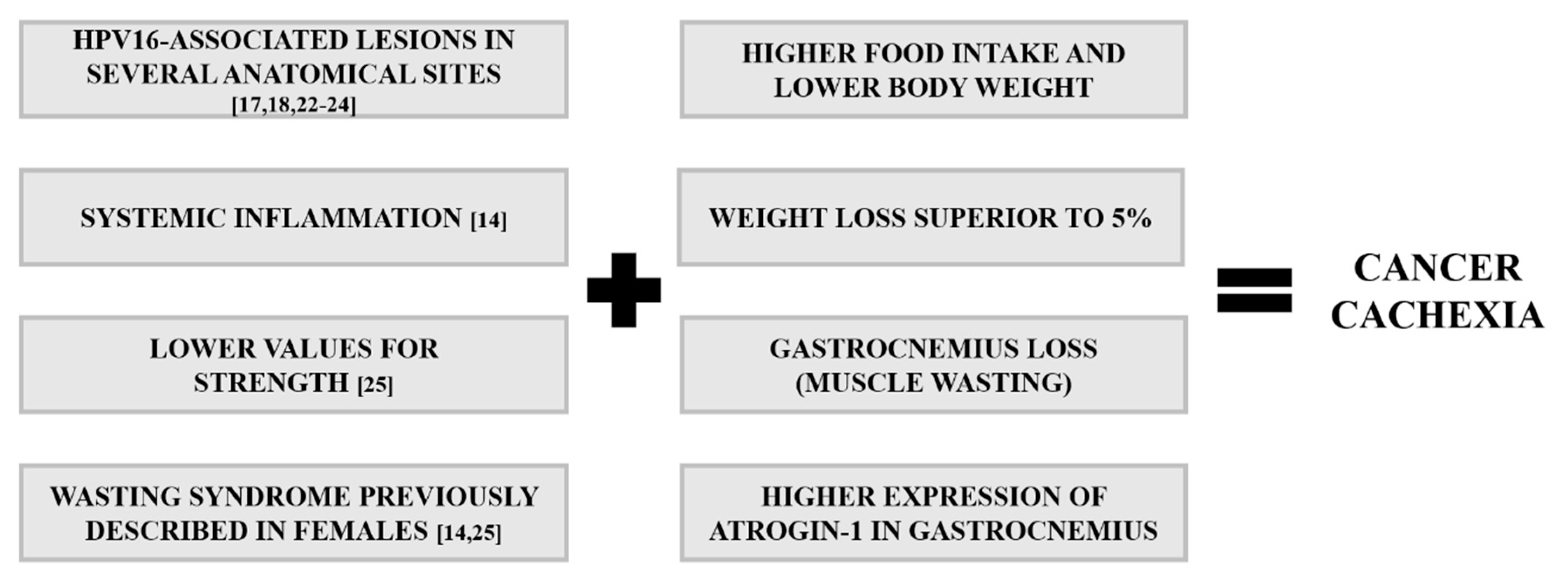 Ijms 21 05020 g010 Ijms 21 05020 g010