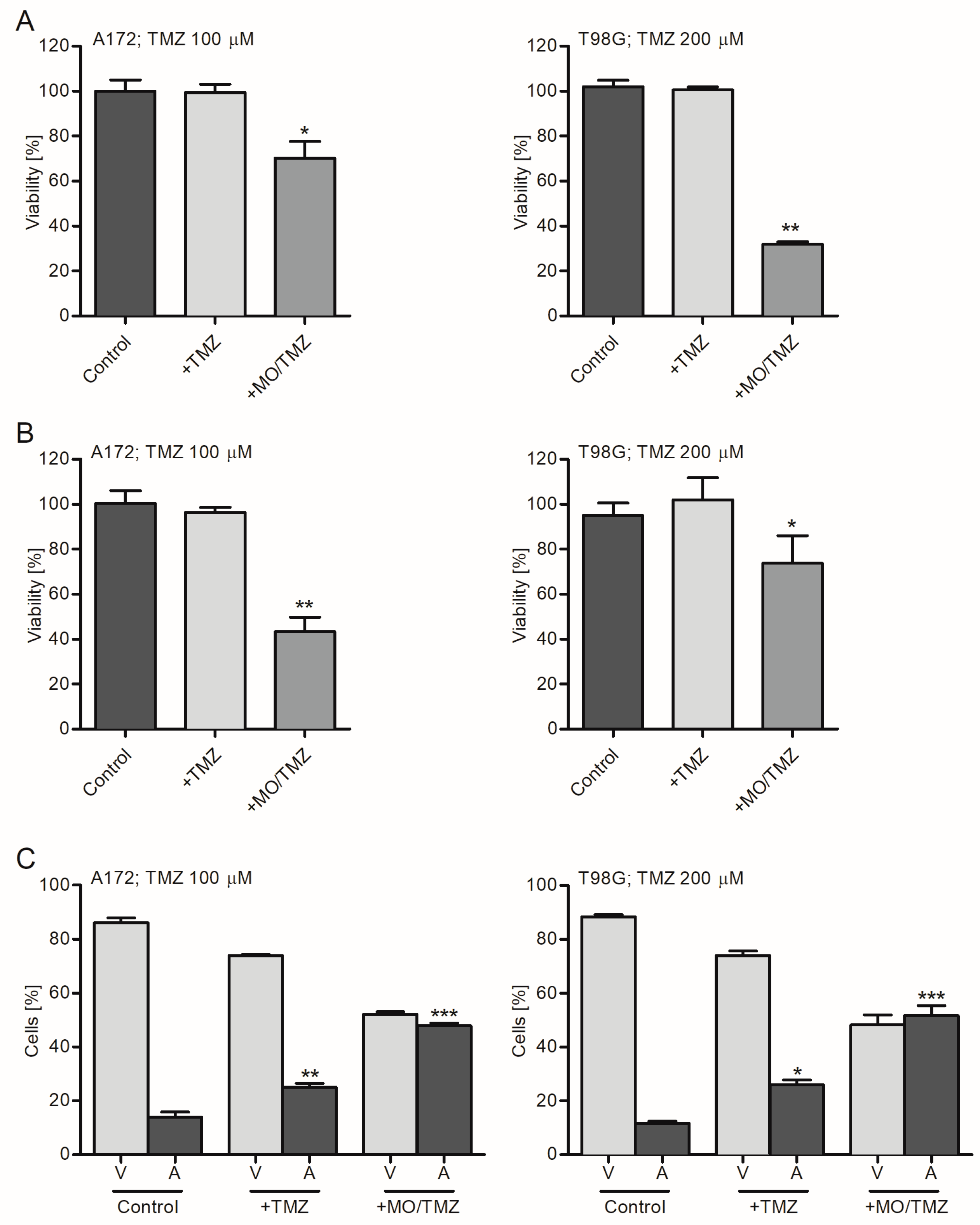 Ijms 21 05039 g006 Ijms 21 05039 g006