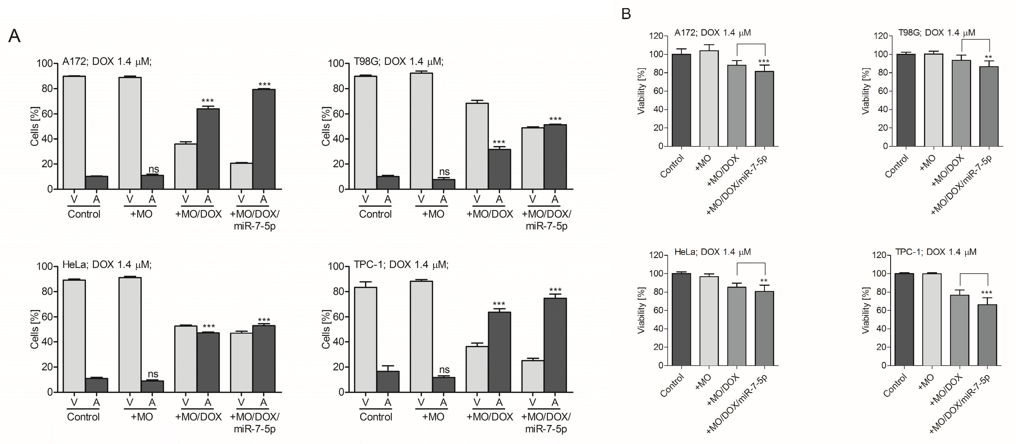 Ijms 21 05039 g008 Ijms 21 05039 g008