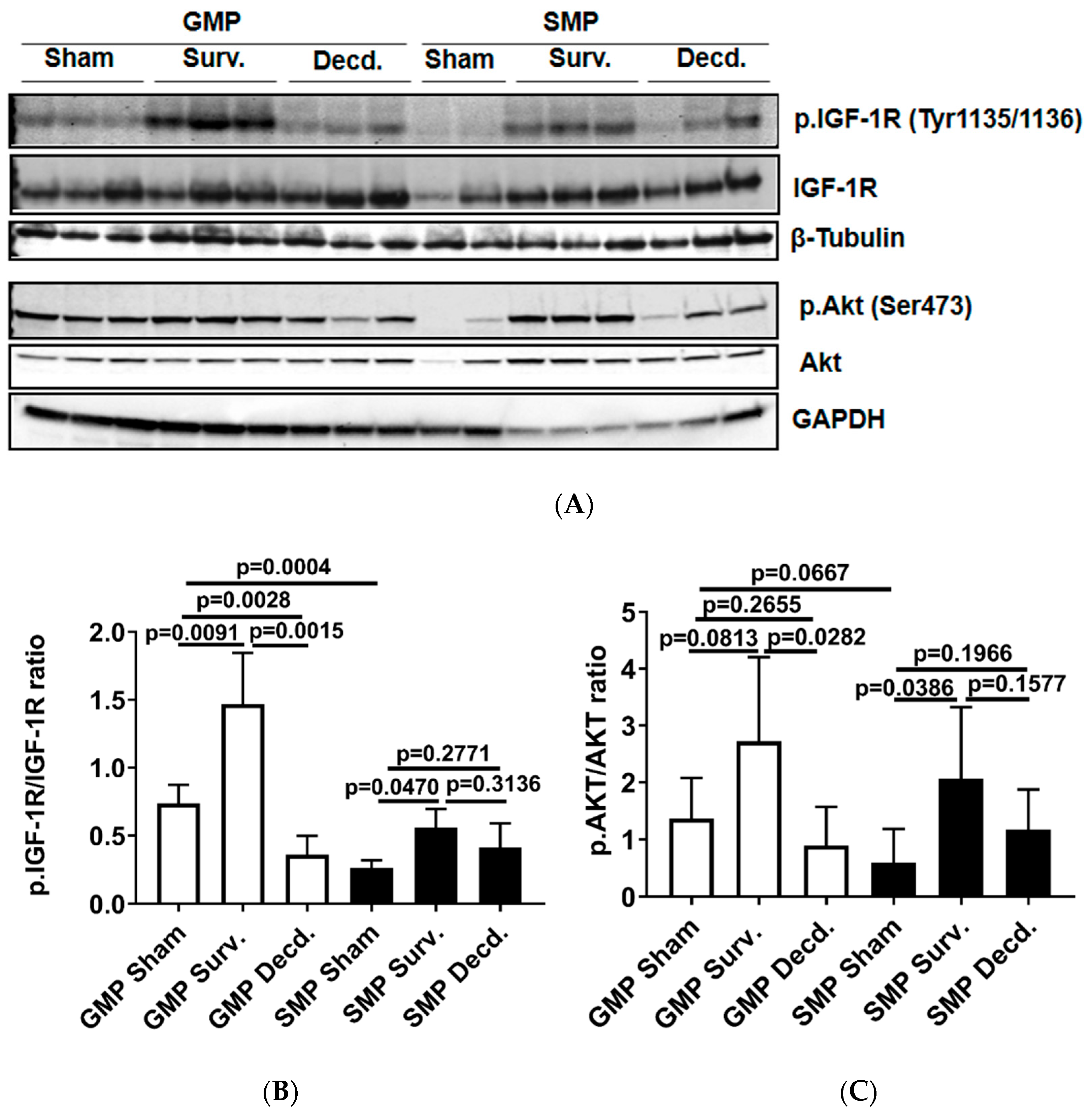 Ijms 21 05049 g002 Ijms 21 05049 g002