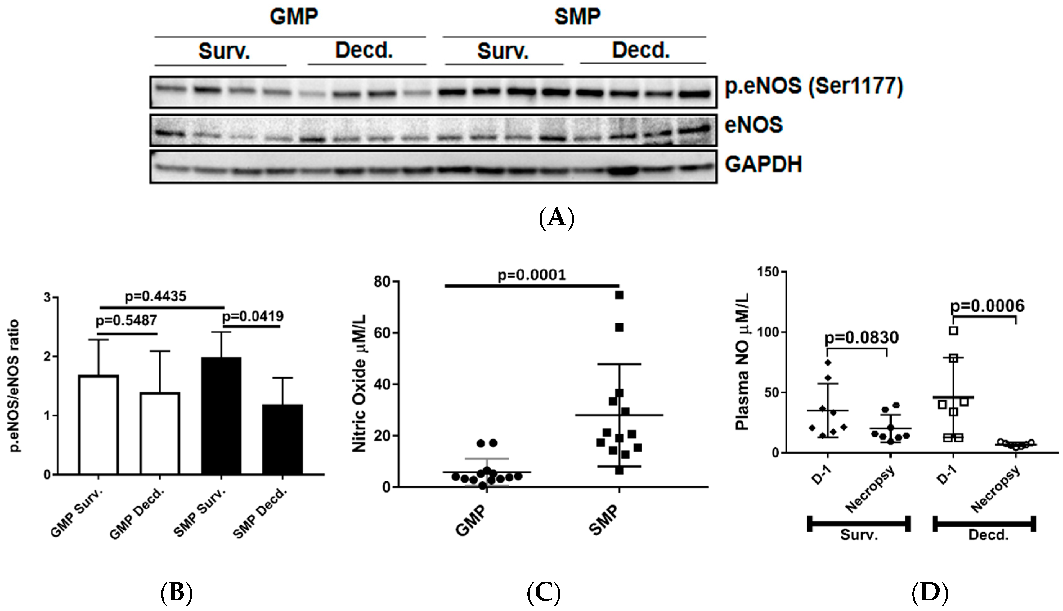 Ijms 21 05049 g003 Ijms 21 05049 g003