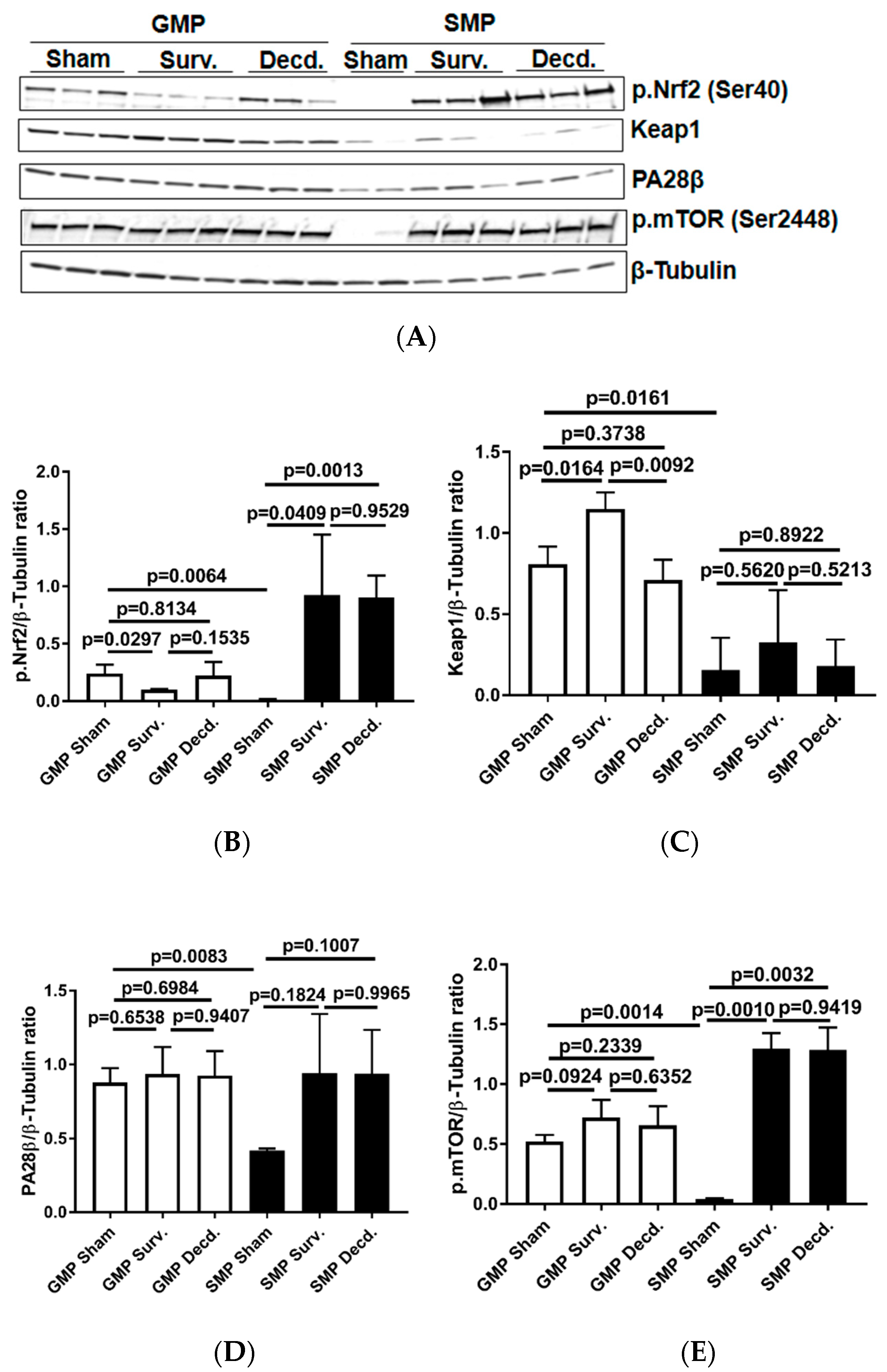 Ijms 21 05049 g004 Ijms 21 05049 g004