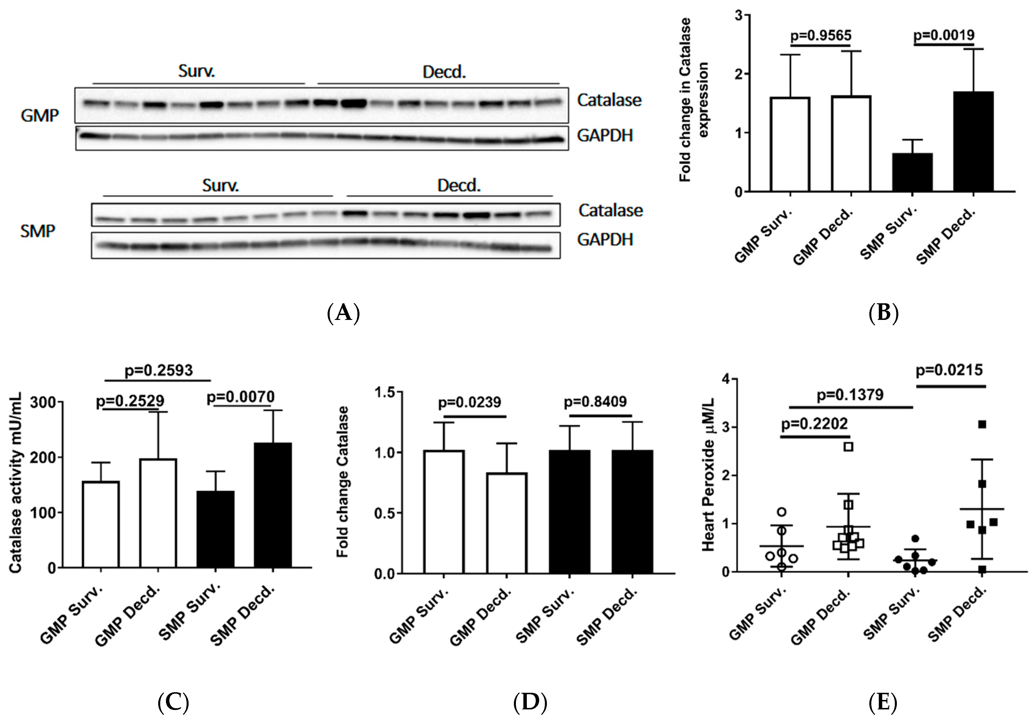 Ijms 21 05049 g005 Ijms 21 05049 g005