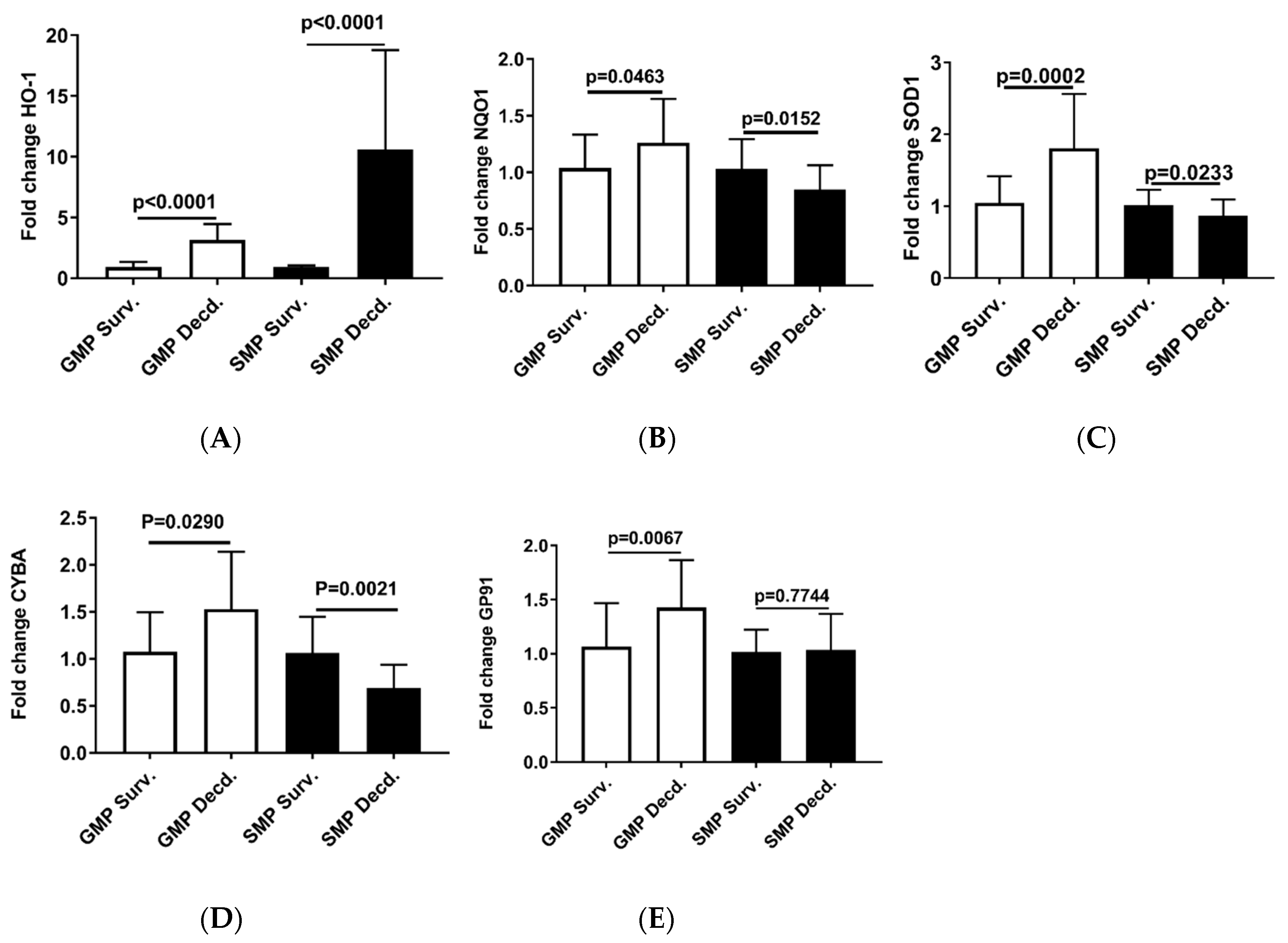 Ijms 21 05049 g006 Ijms 21 05049 g006