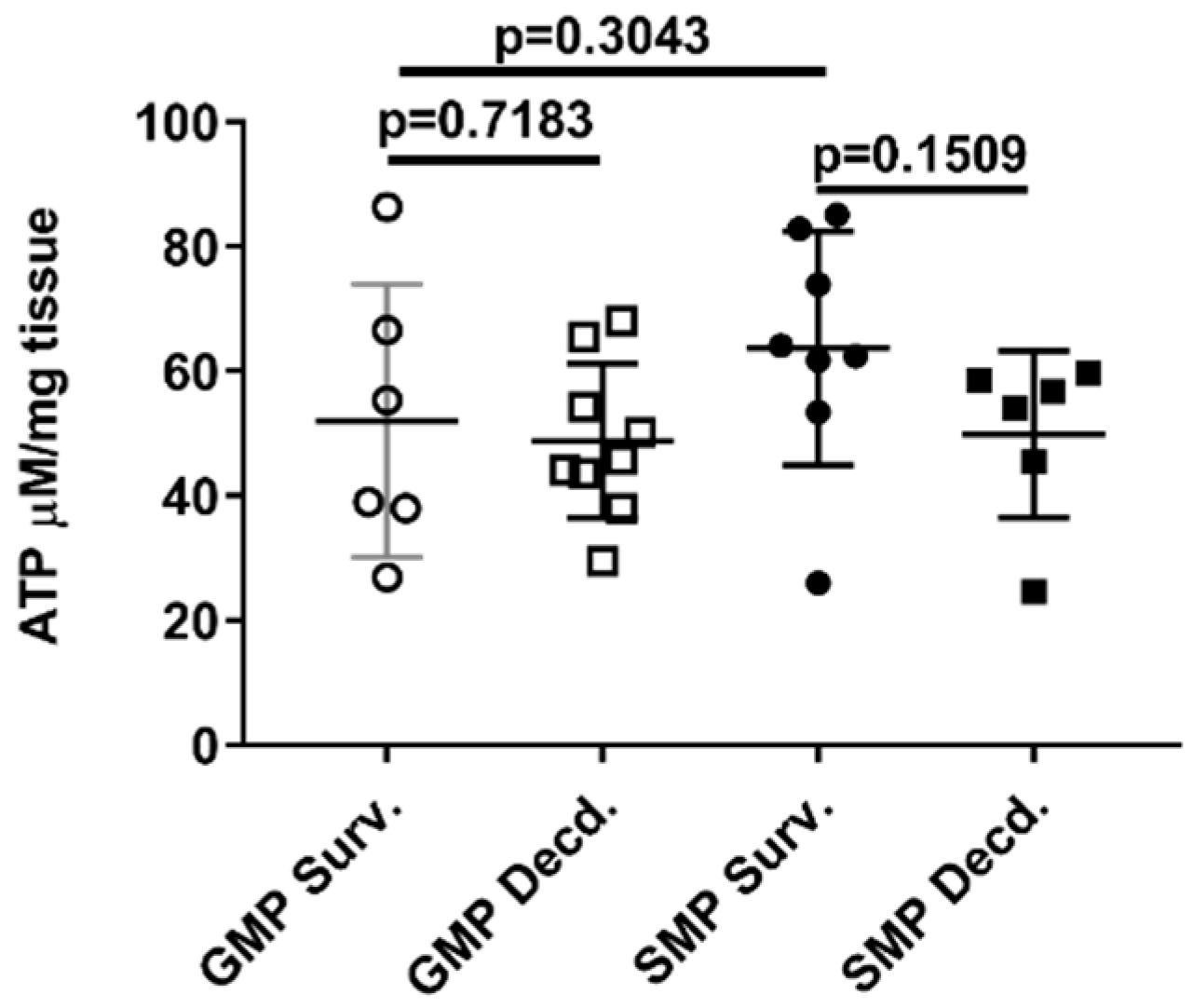 Ijms 21 05049 g007 Ijms 21 05049 g007