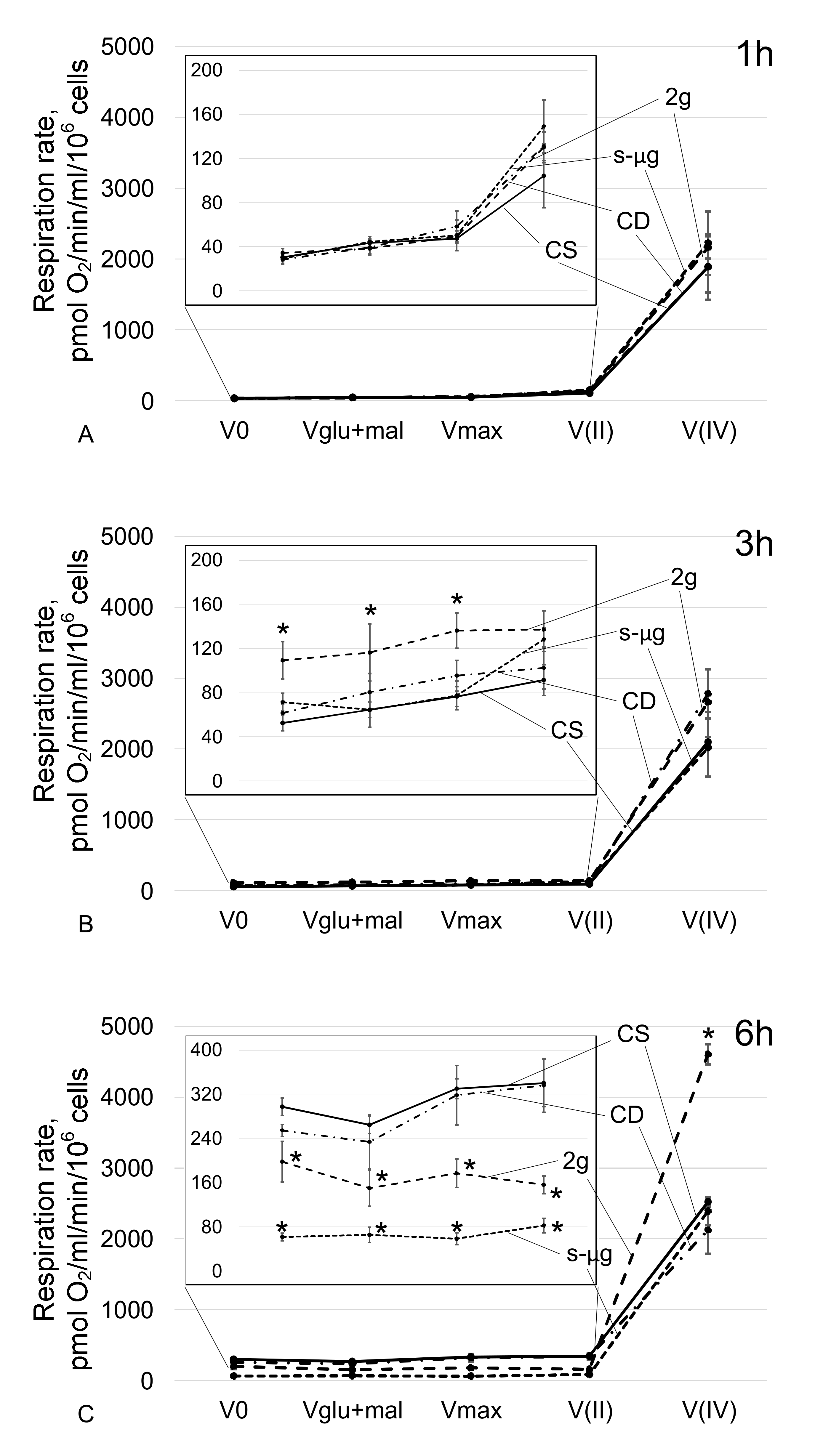 Ijms 21 05054 g002 Ijms 21 05054 g002