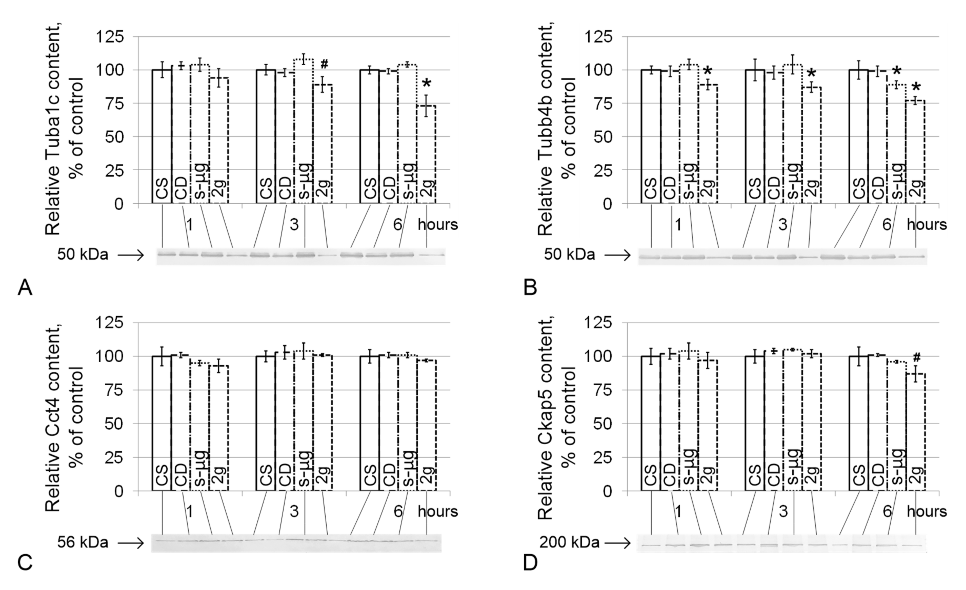 Ijms 21 05054 g004 Ijms 21 05054 g004