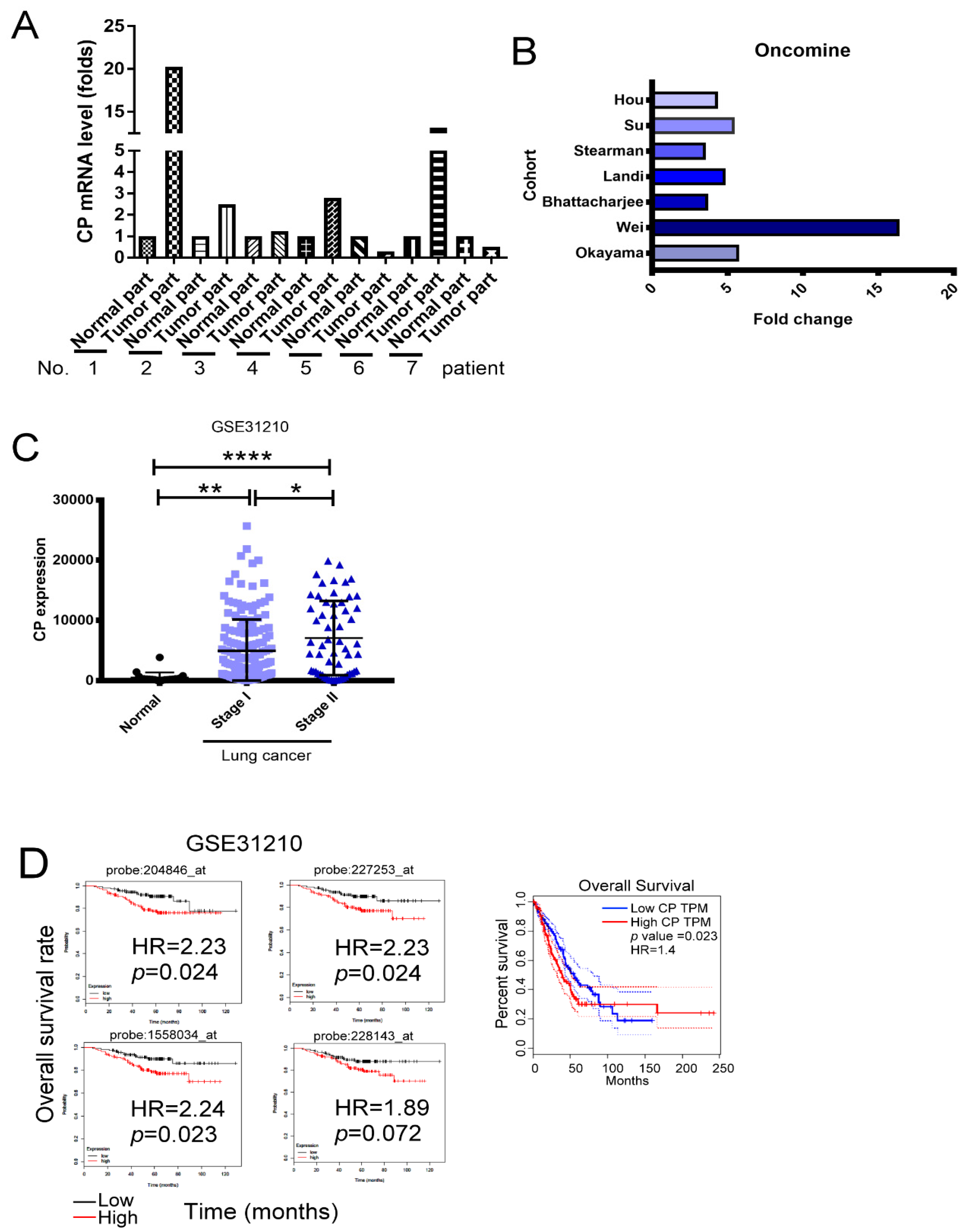 Ijms 21 05081 g001 Ijms 21 05081 g001