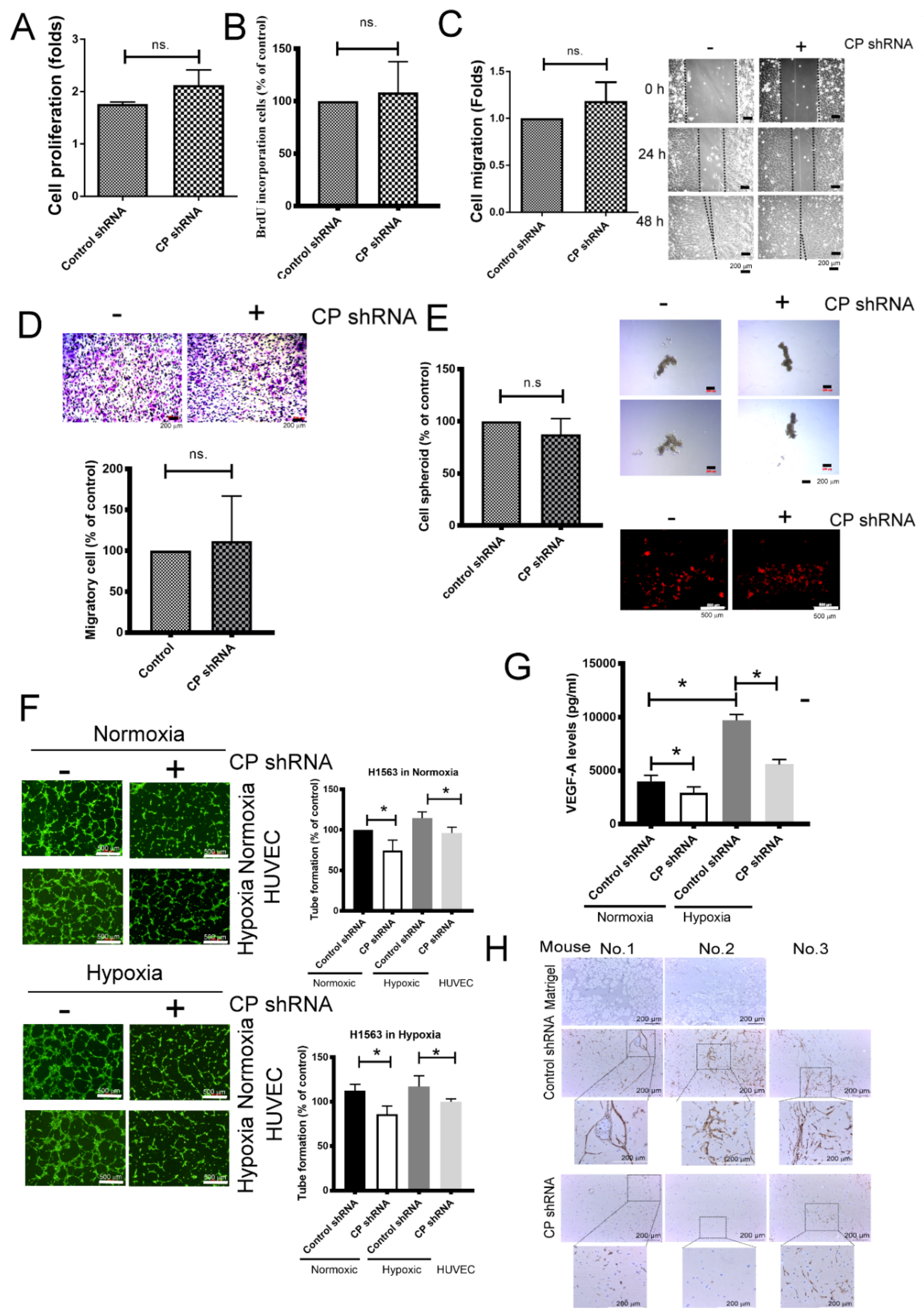 Ijms 21 05081 g003 Ijms 21 05081 g003