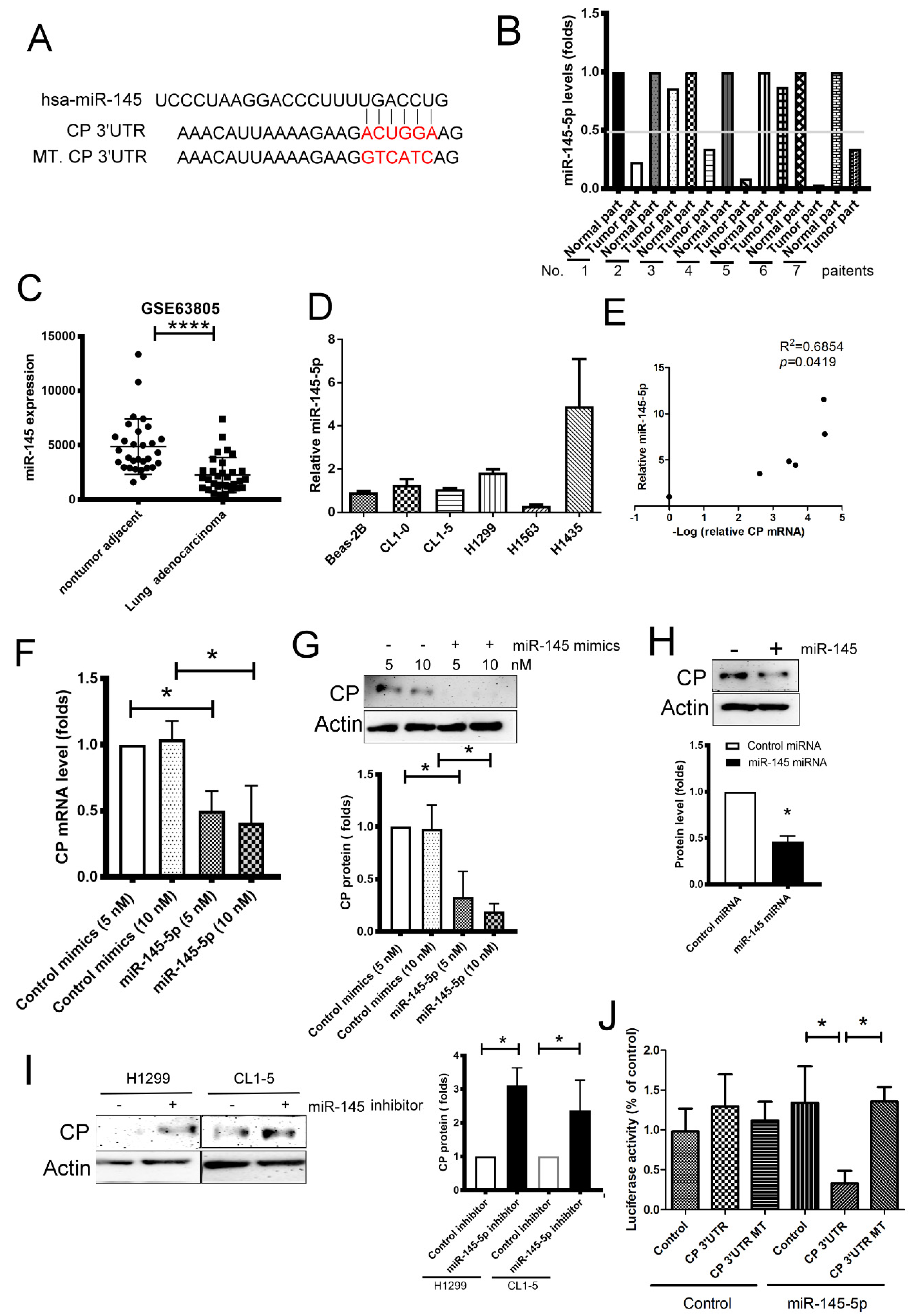 Ijms 21 05081 g004 Ijms 21 05081 g004