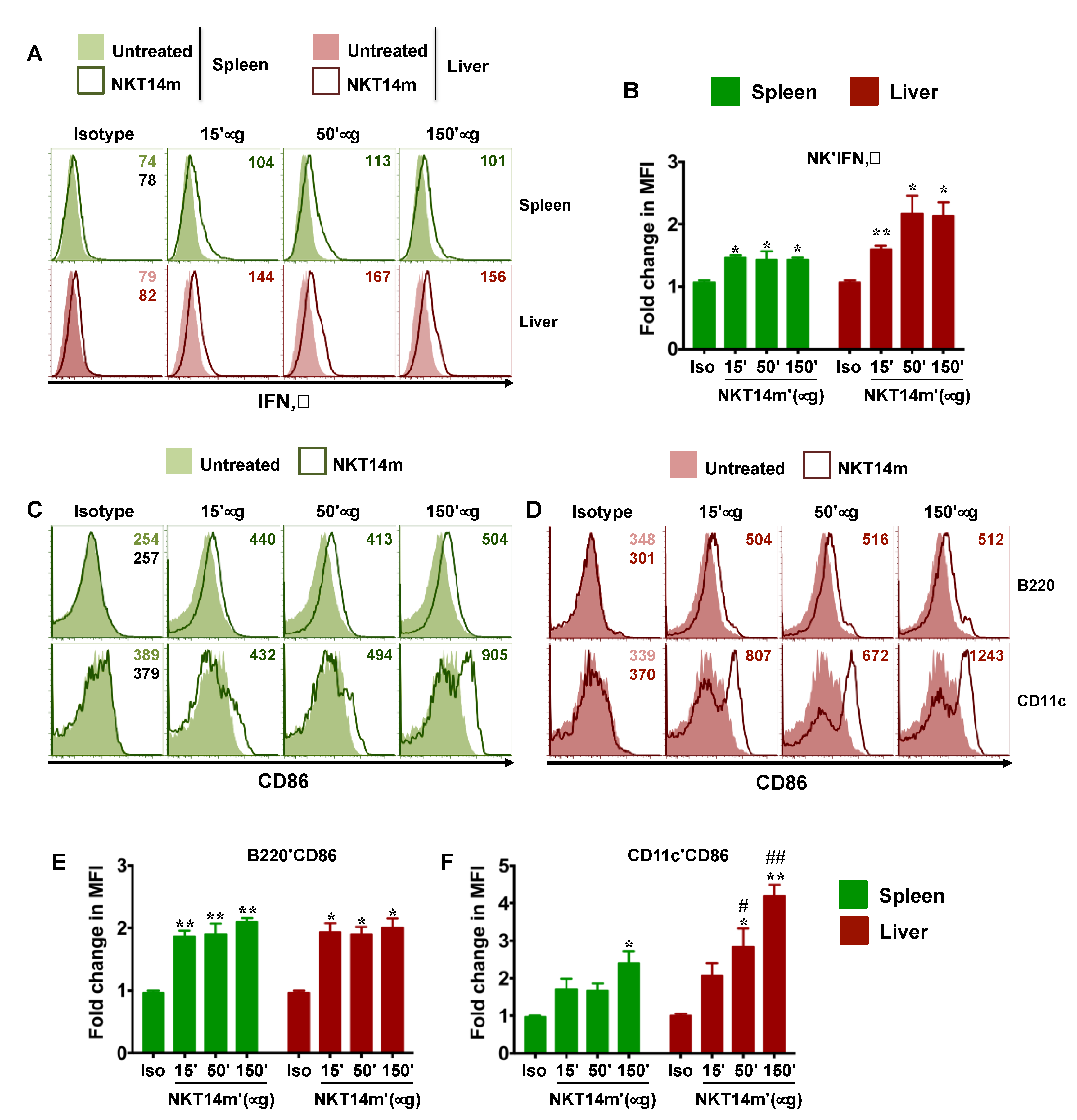 Ijms 21 05085 g004 Ijms 21 05085 g004
