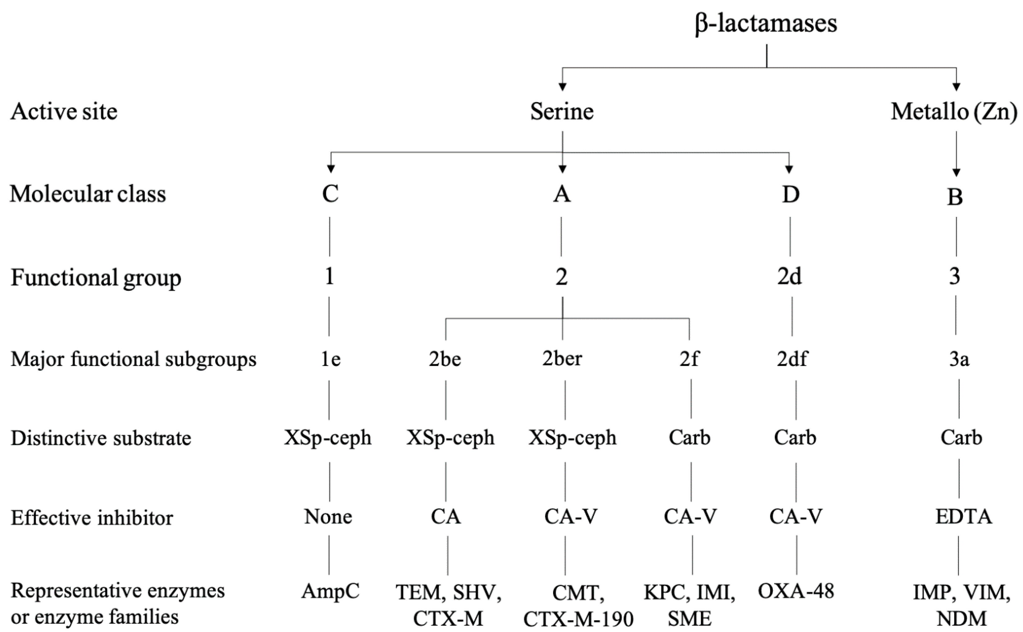 Ijms 21 05090 g002 Ijms 21 05090 g002