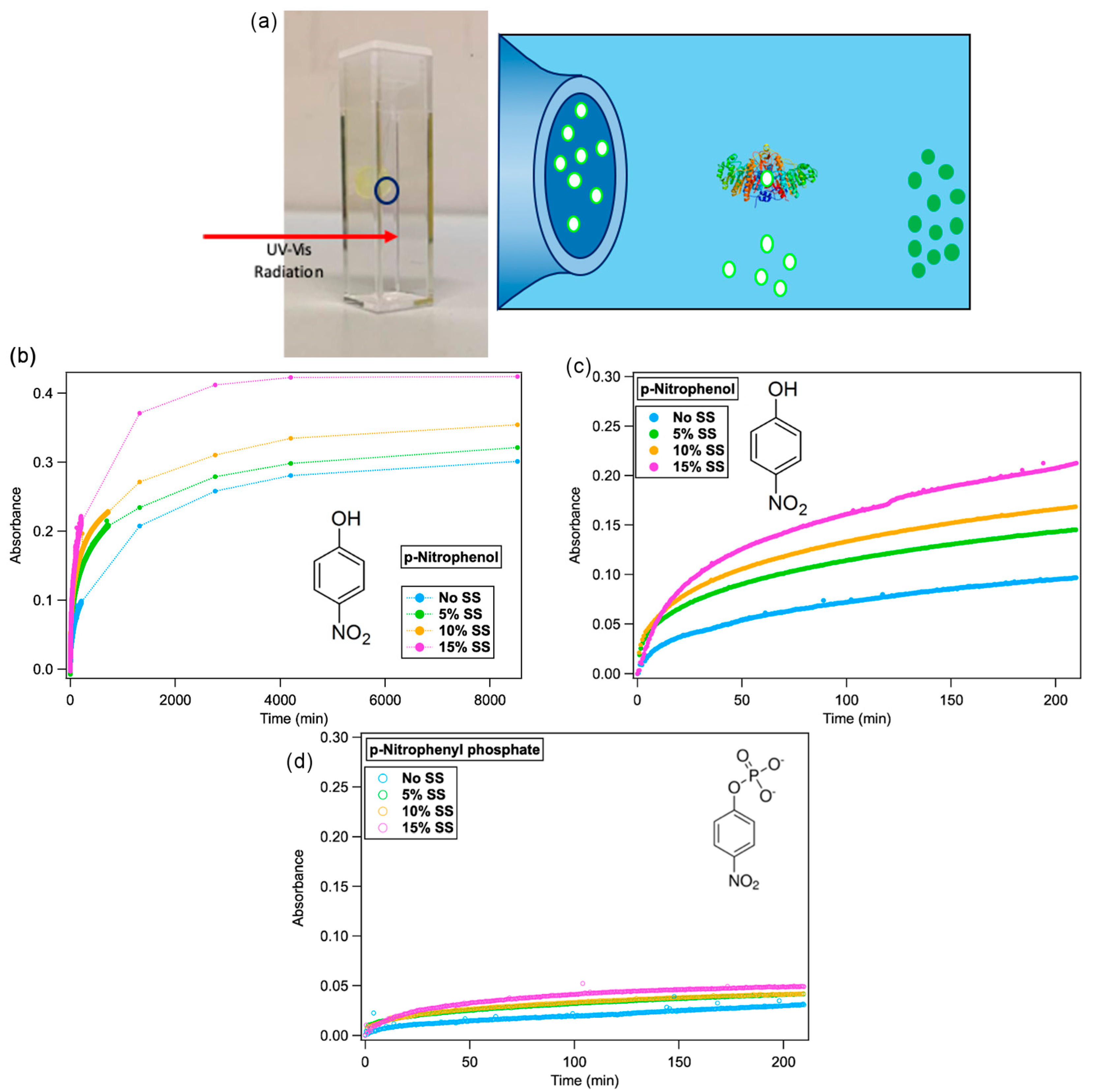 Ijms 21 05116 g003 Ijms 21 05116 g003