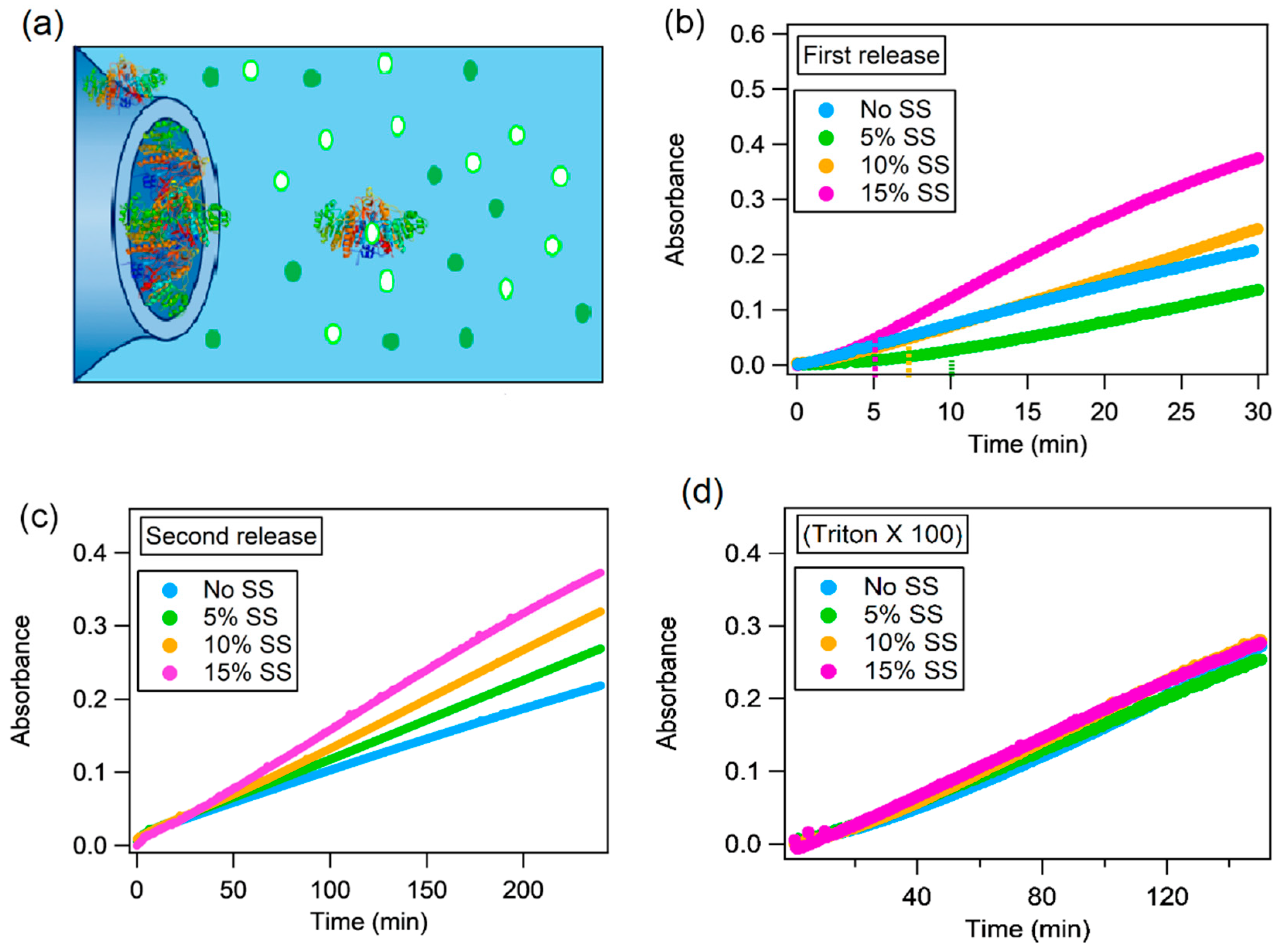 Ijms 21 05116 g004 Ijms 21 05116 g004