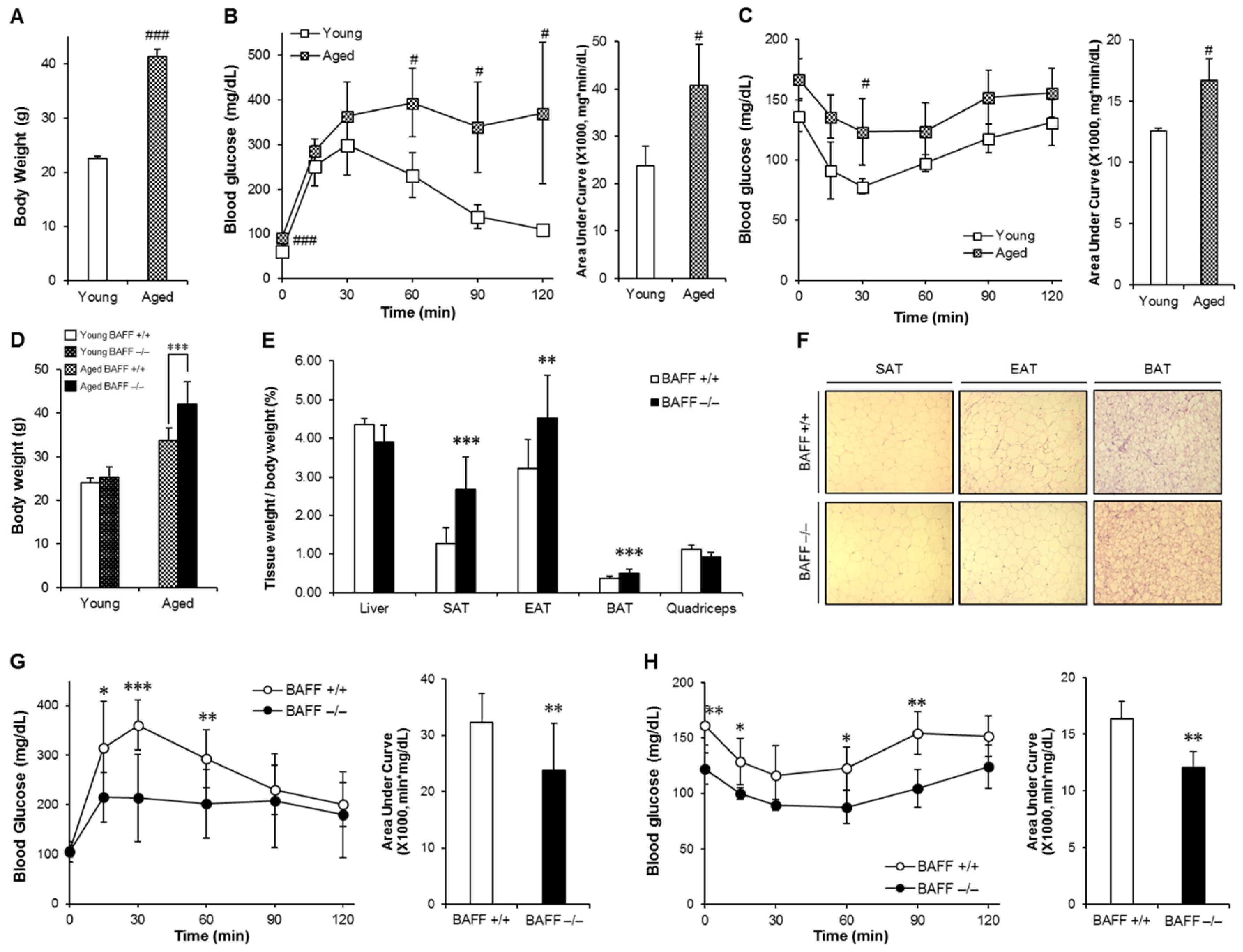 Ijms 21 05121 g001 Ijms 21 05121 g001