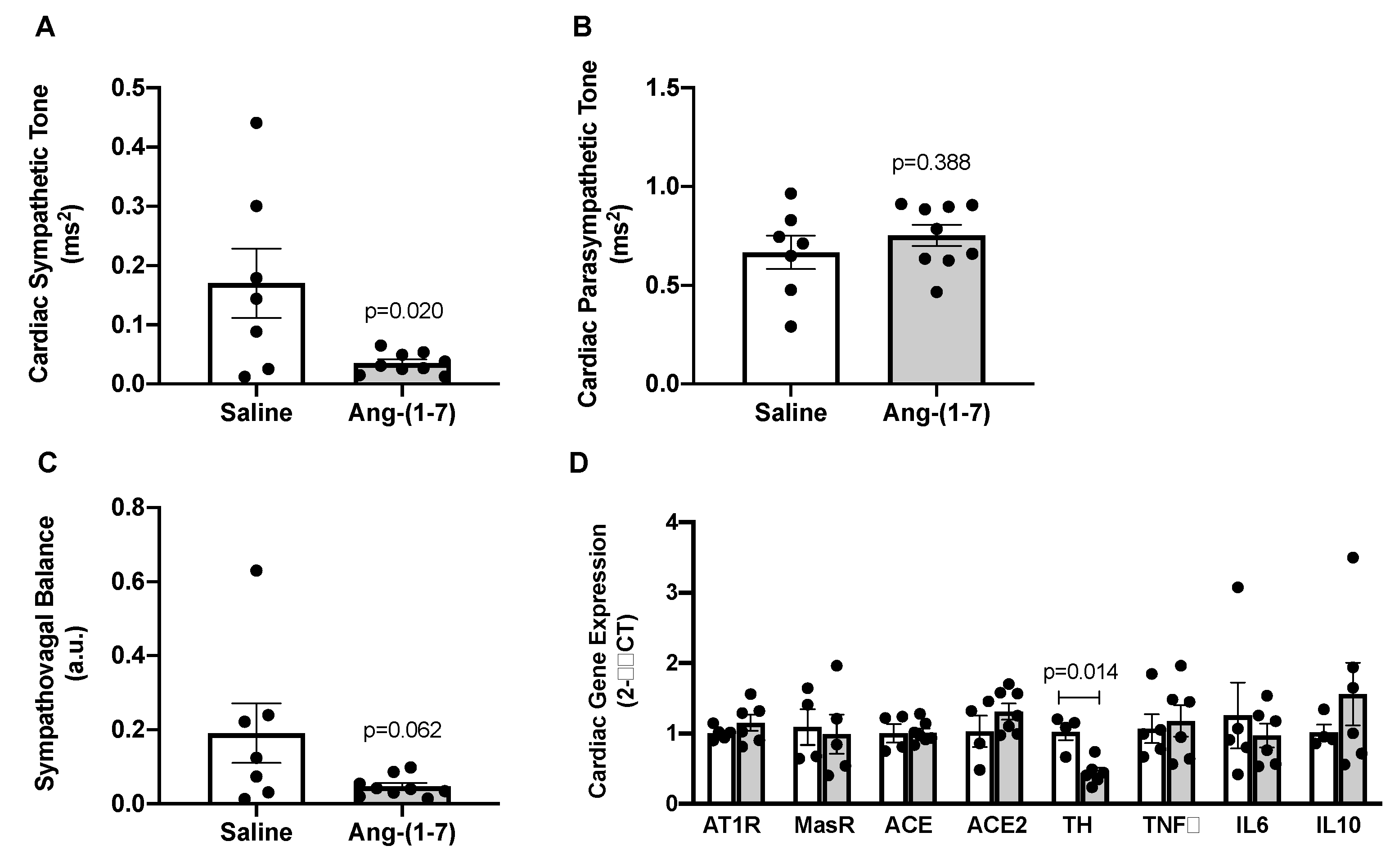Ijms 21 05131 g004 Ijms 21 05131 g004