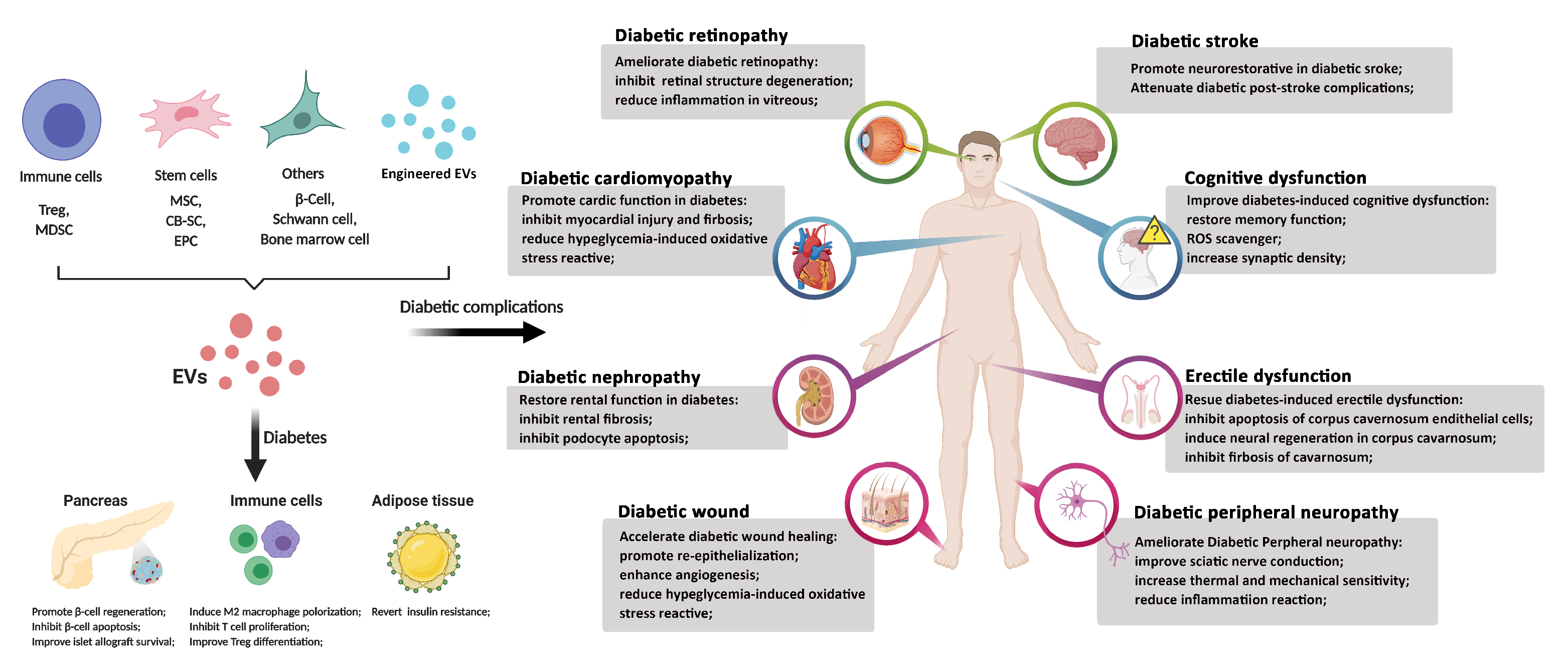 Ijms 21 05163 g003 Ijms 21 05163 g003