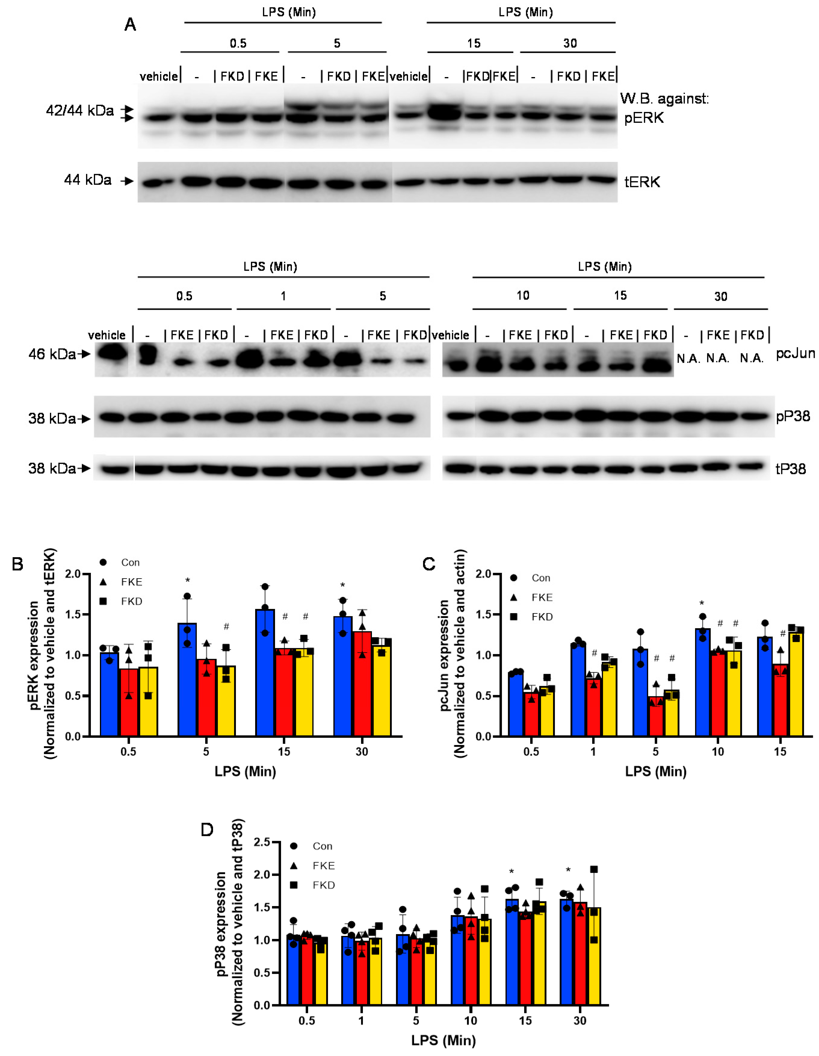 Ijms 21 05166 g002 Ijms 21 05166 g002