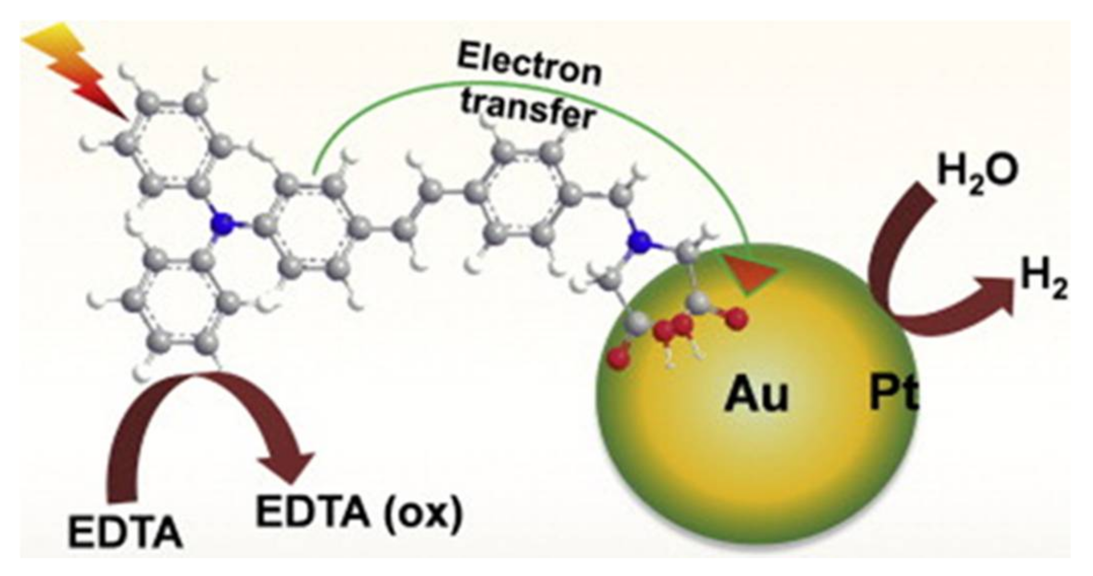 Ijms 21 05174 g006 Ijms 21 05174 g006