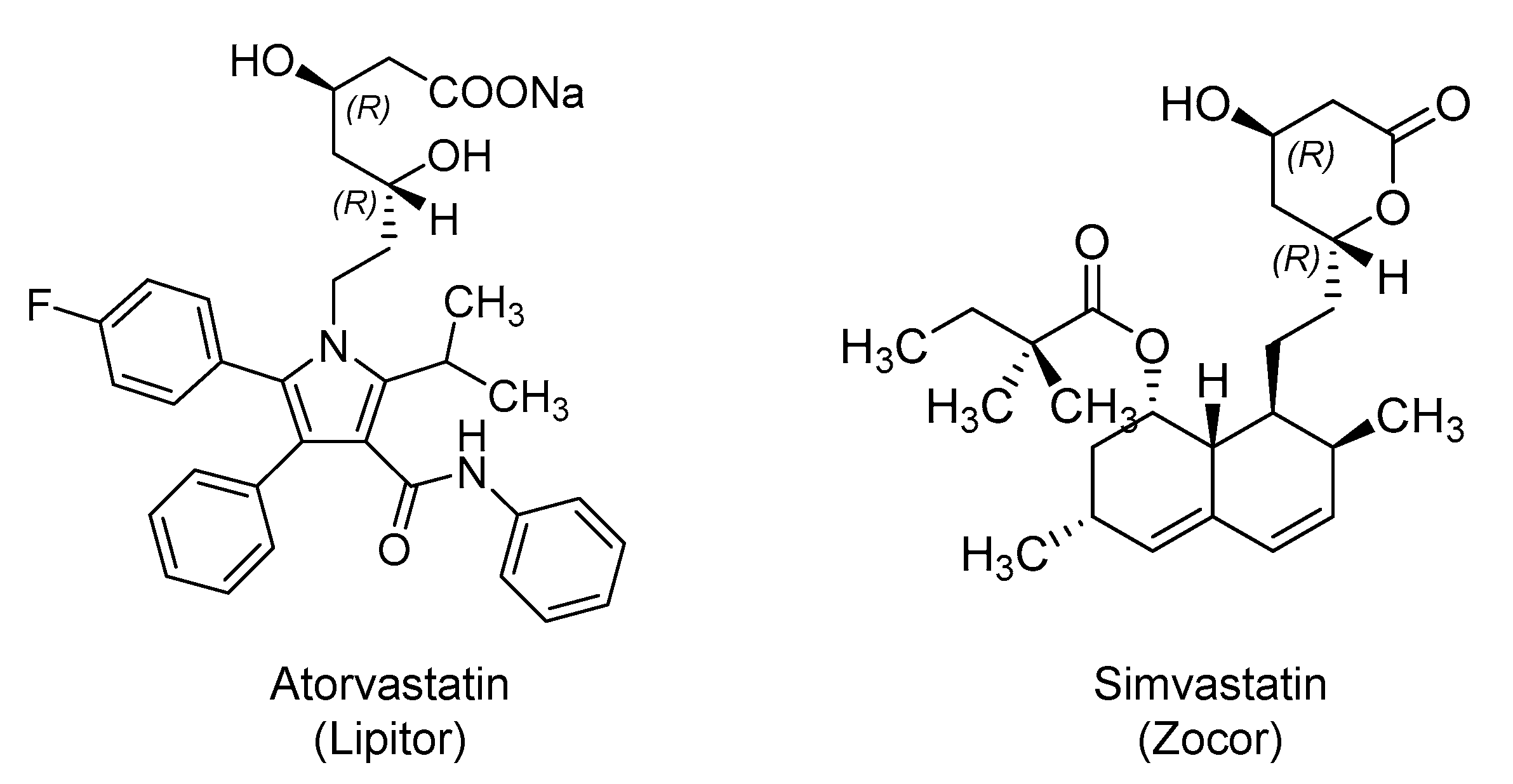 Ijms 21 05224 g004 Ijms 21 05224 g004