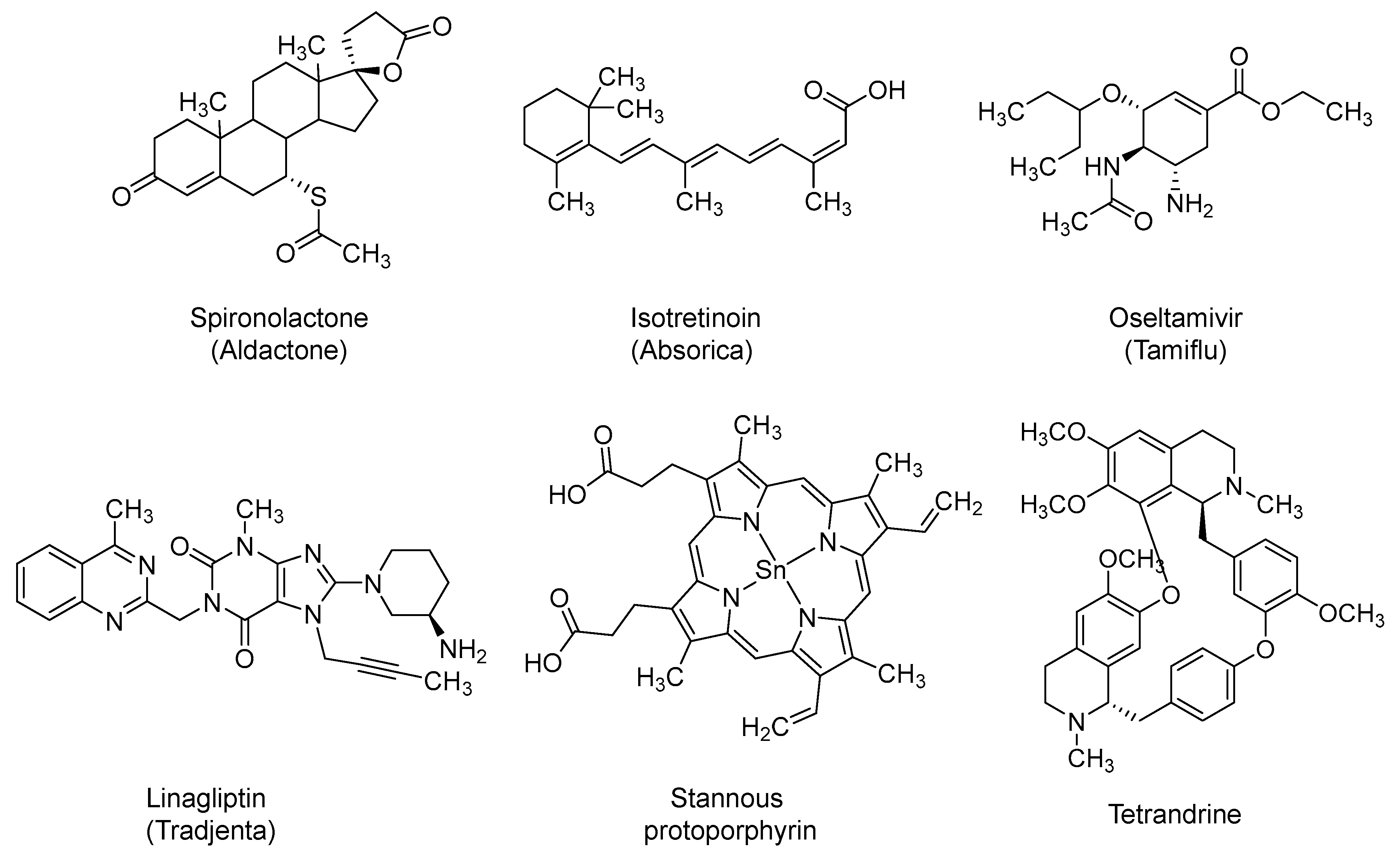 Ijms 21 05224 g010 Ijms 21 05224 g010