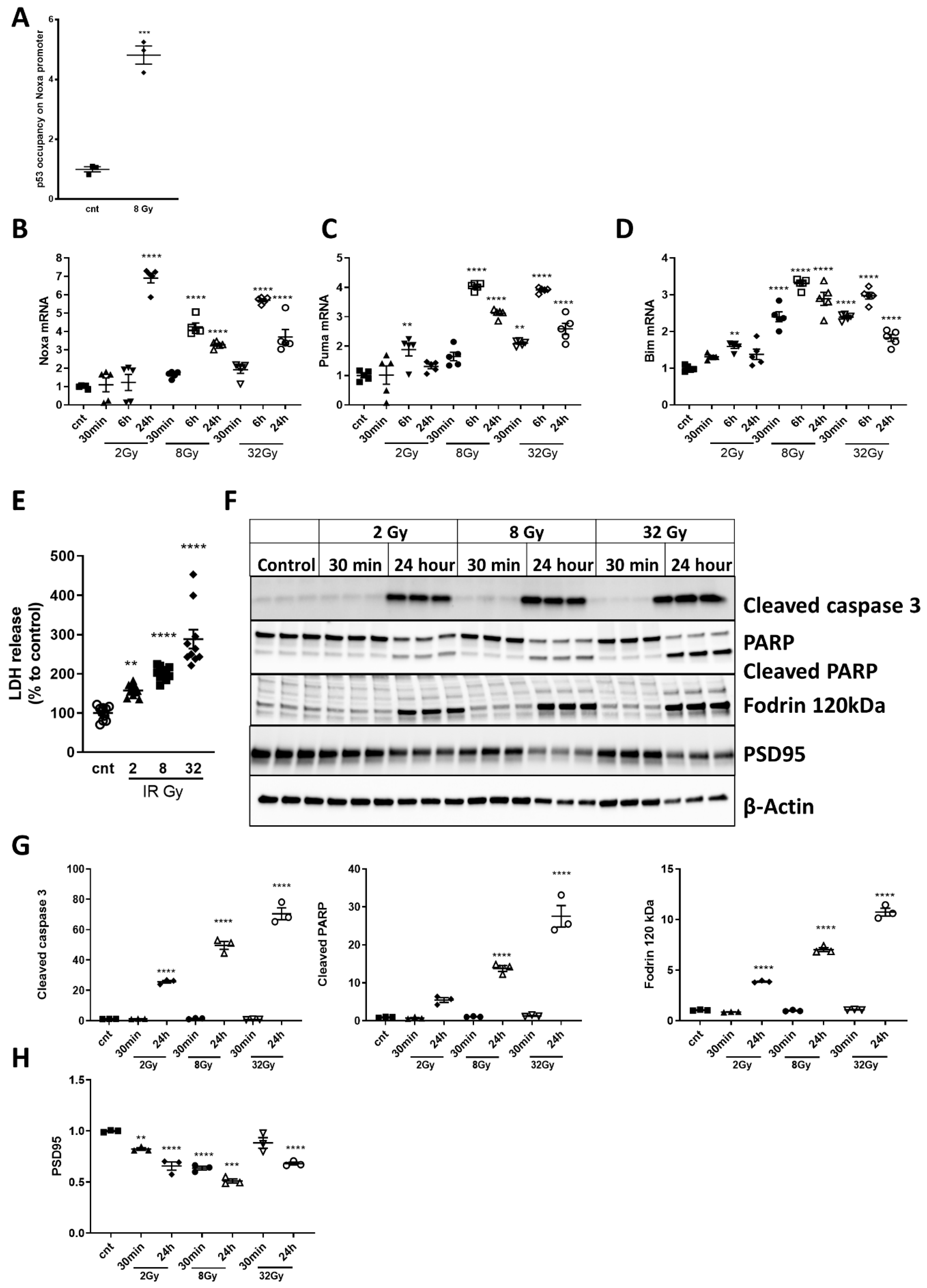 Ijms 21 05239 g004 Ijms 21 05239 g004
