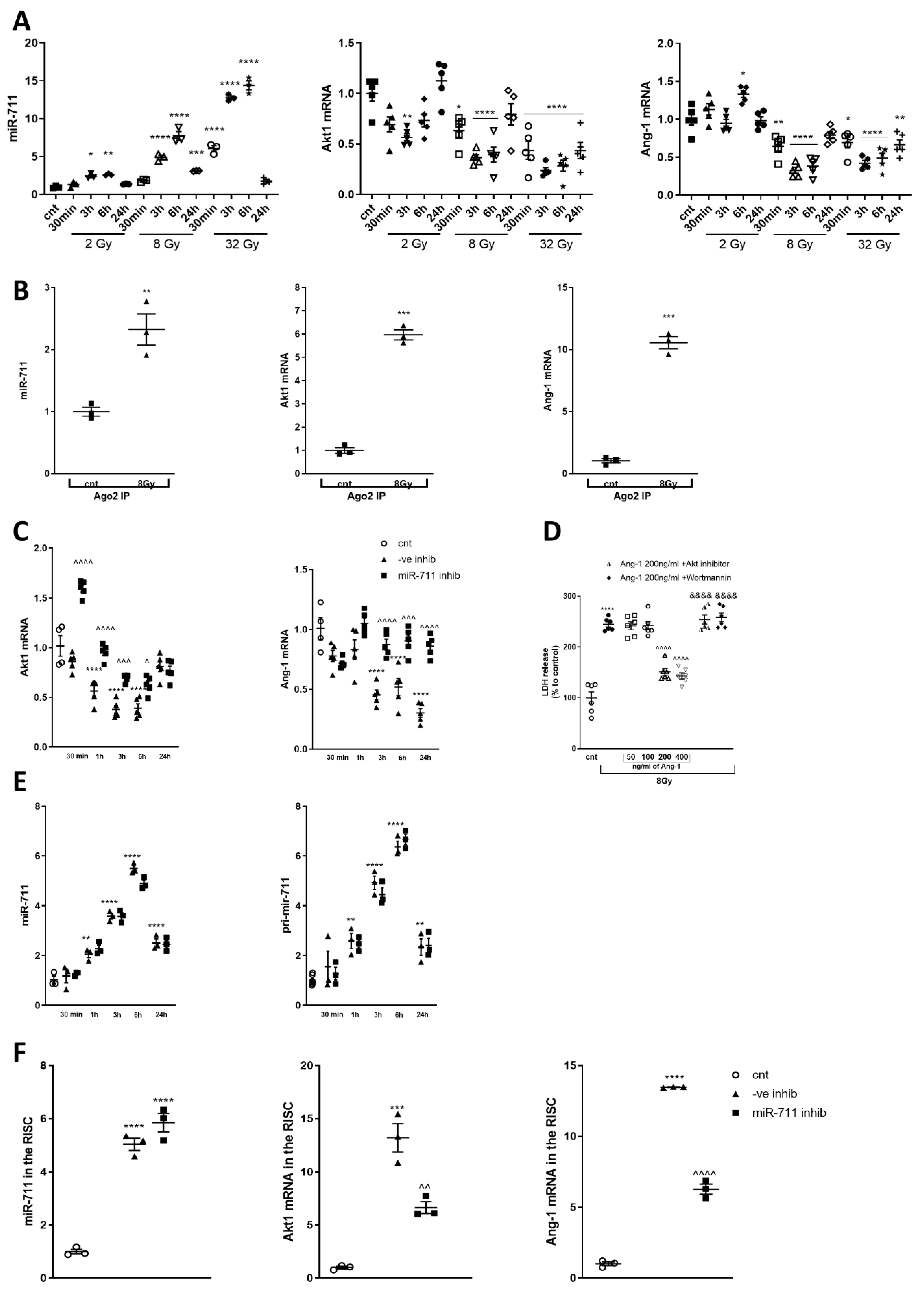 Ijms 21 05239 g005 Ijms 21 05239 g005