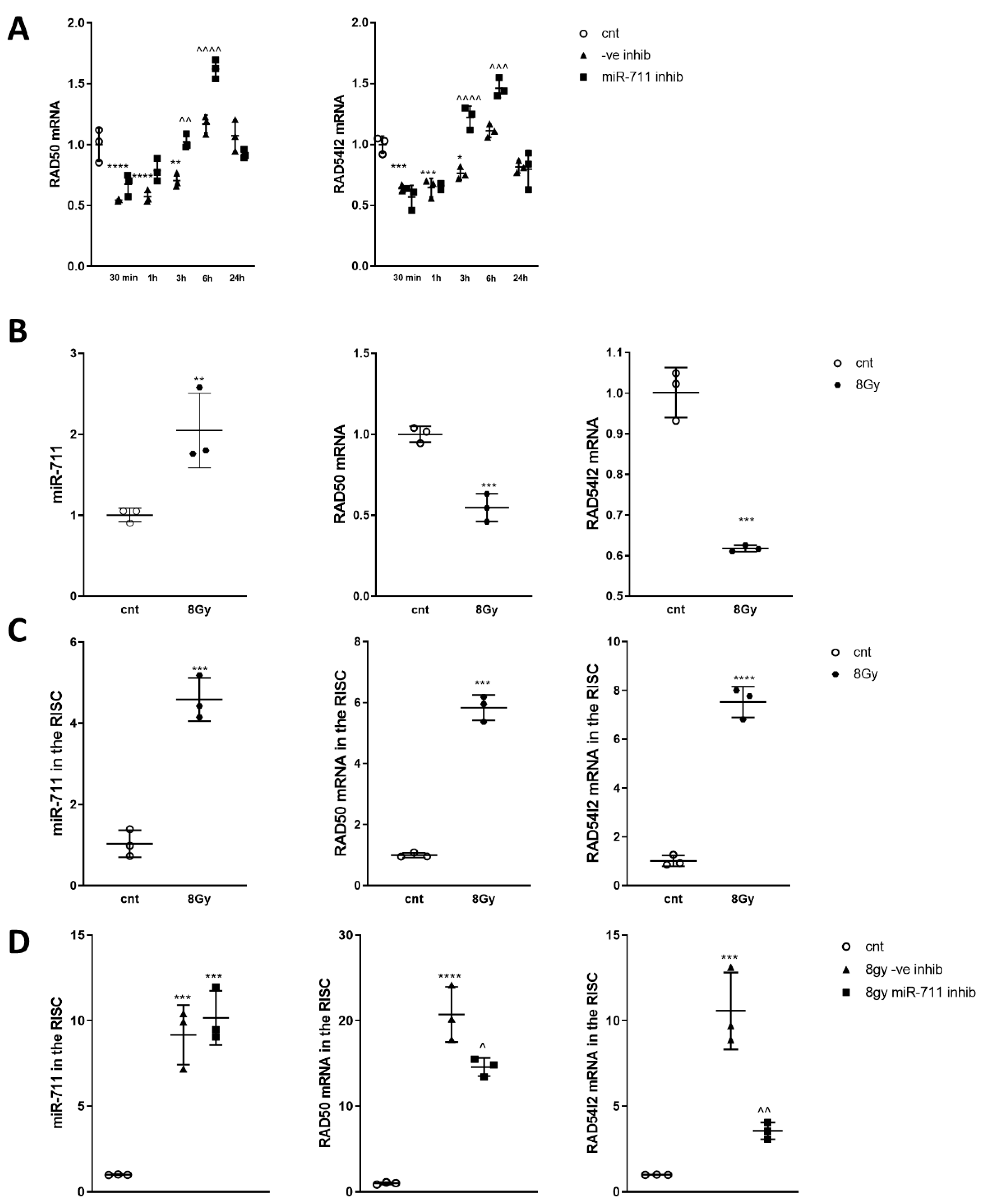 Ijms 21 05239 g008 Ijms 21 05239 g008