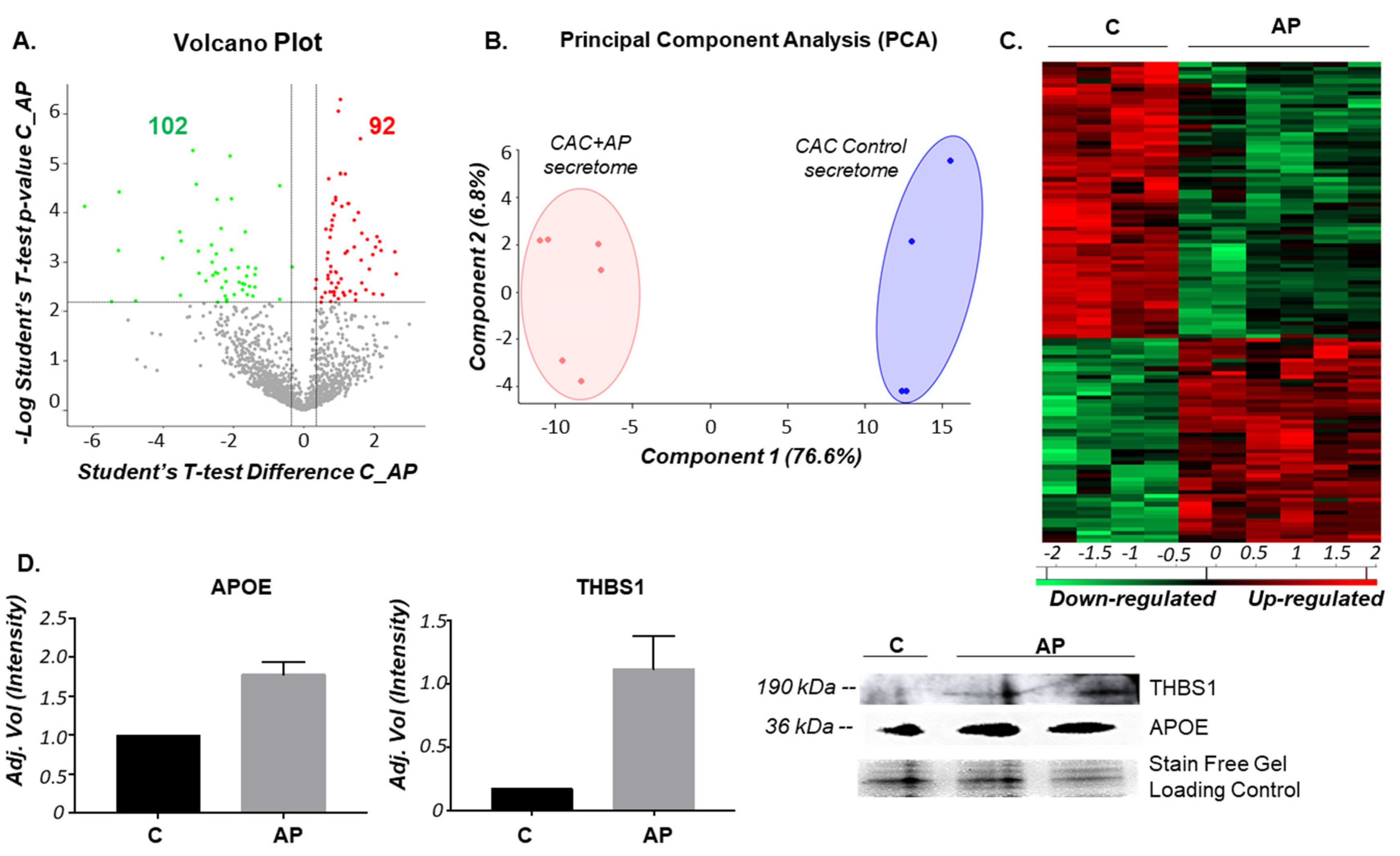 Ijms 21 05256 g001 Ijms 21 05256 g001