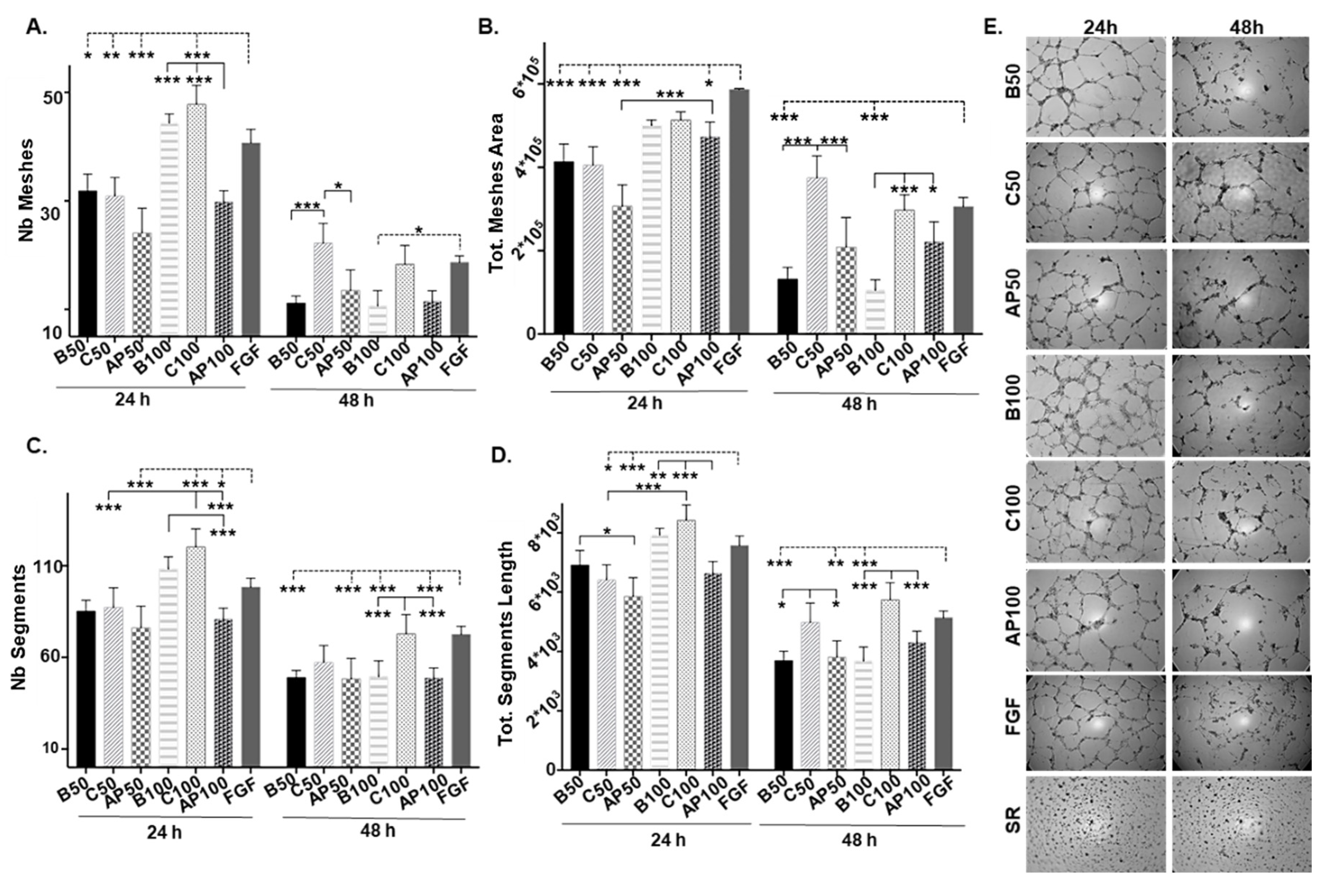 Ijms 21 05256 g003 Ijms 21 05256 g003
